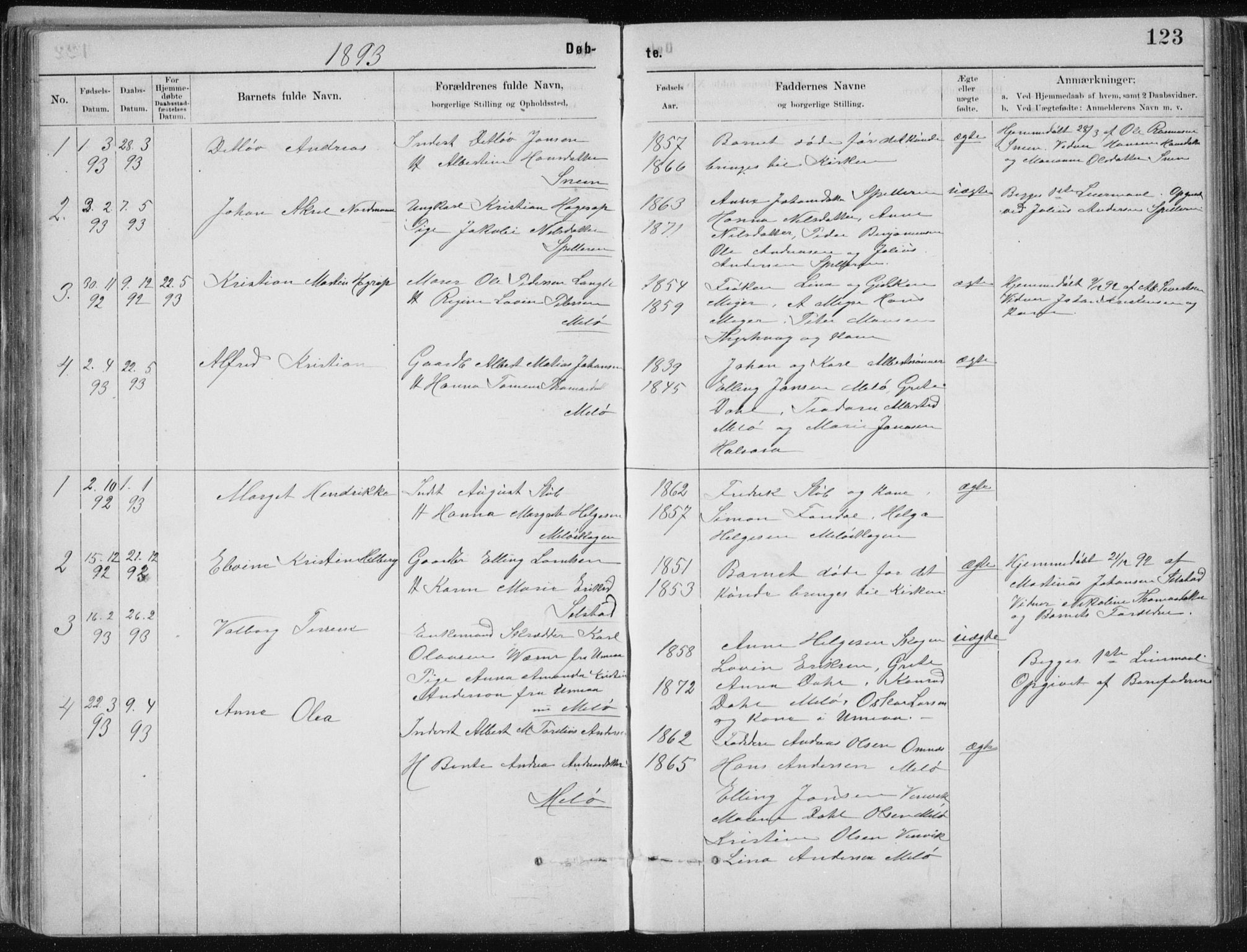 Ministerialprotokoller, klokkerbøker og fødselsregistre - Nordland, AV/SAT-A-1459/843/L0636: Parish register (copy) no. 843C05, 1884-1909, p. 123