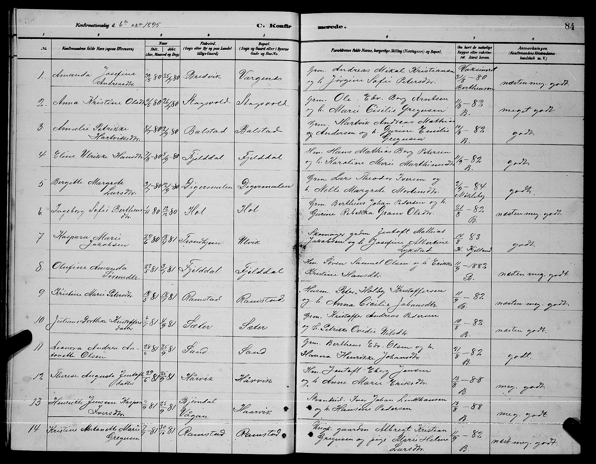 Ministerialprotokoller, klokkerbøker og fødselsregistre - Nordland, AV/SAT-A-1459/865/L0931: Parish register (copy) no. 865C03, 1885-1901, p. 84