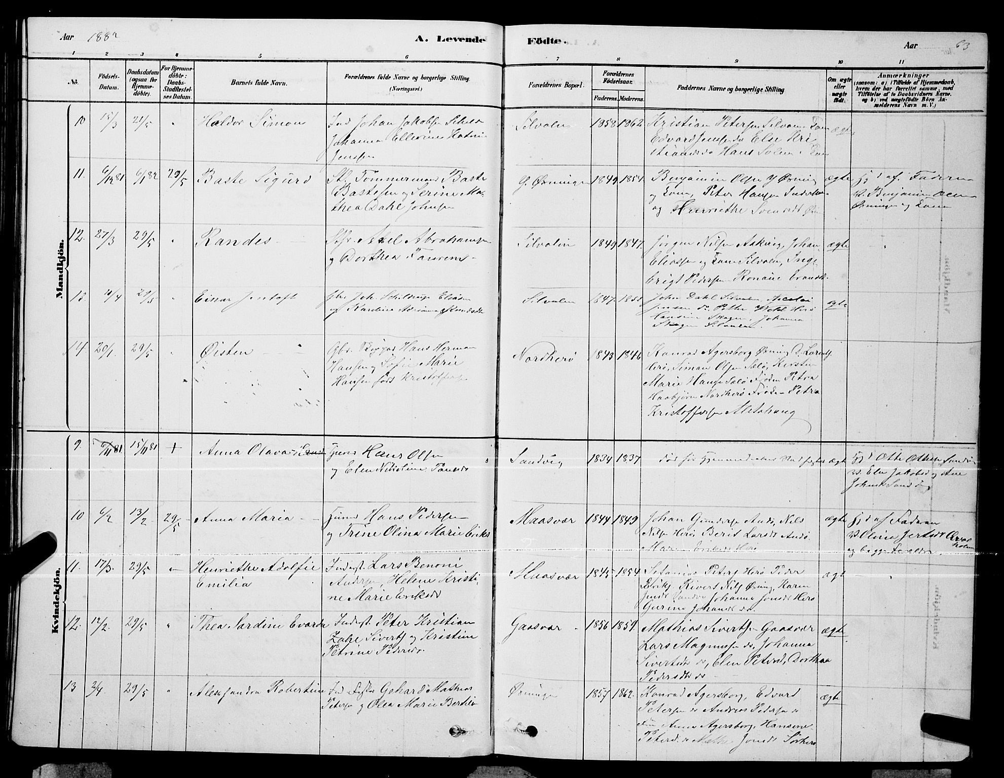 Ministerialprotokoller, klokkerbøker og fødselsregistre - Nordland, AV/SAT-A-1459/834/L0513: Parish register (copy) no. 834C04, 1877-1892, p. 63