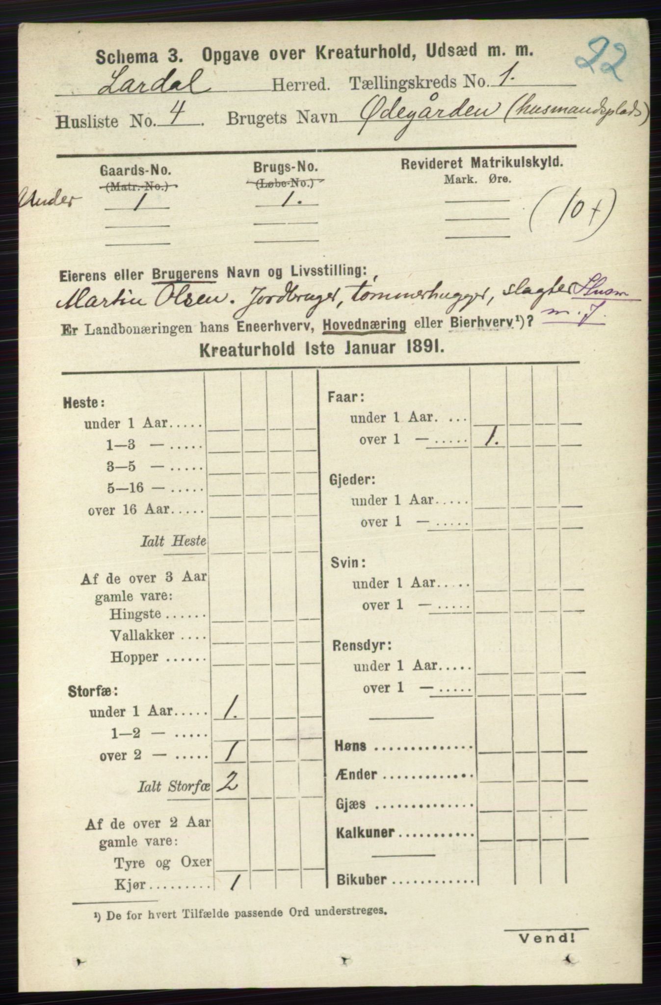 RA, 1891 census for 0728 Lardal, 1891, p. 3243