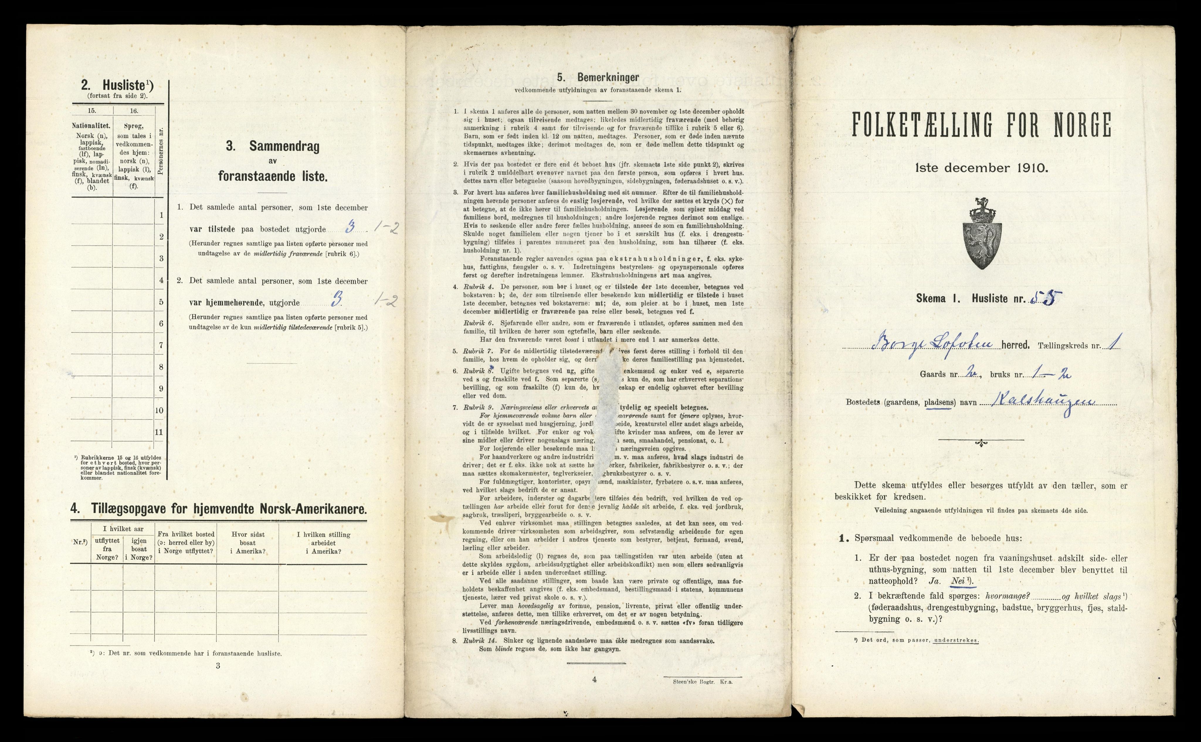 RA, 1910 census for Borge, 1910, p. 165