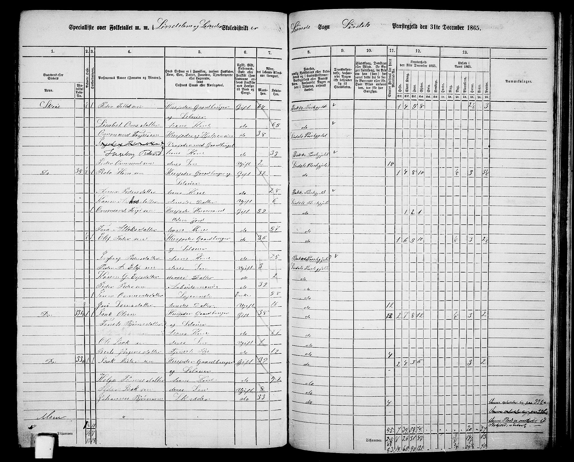 RA, 1865 census for Sirdal, 1865, p. 59