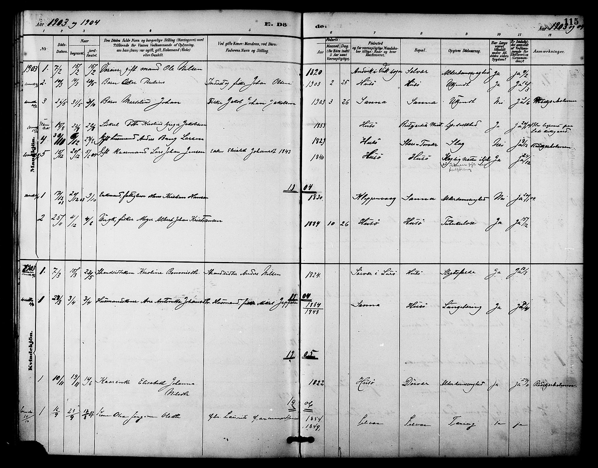 Ministerialprotokoller, klokkerbøker og fødselsregistre - Nordland, SAT/A-1459/840/L0580: Parish register (official) no. 840A02, 1887-1909, p. 115