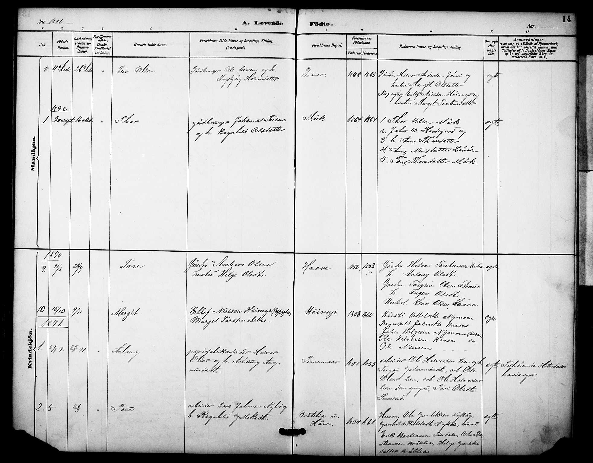 Heddal kirkebøker, SAKO/A-268/F/Fb/L0001: Parish register (official) no. II 1, 1884-1910, p. 14