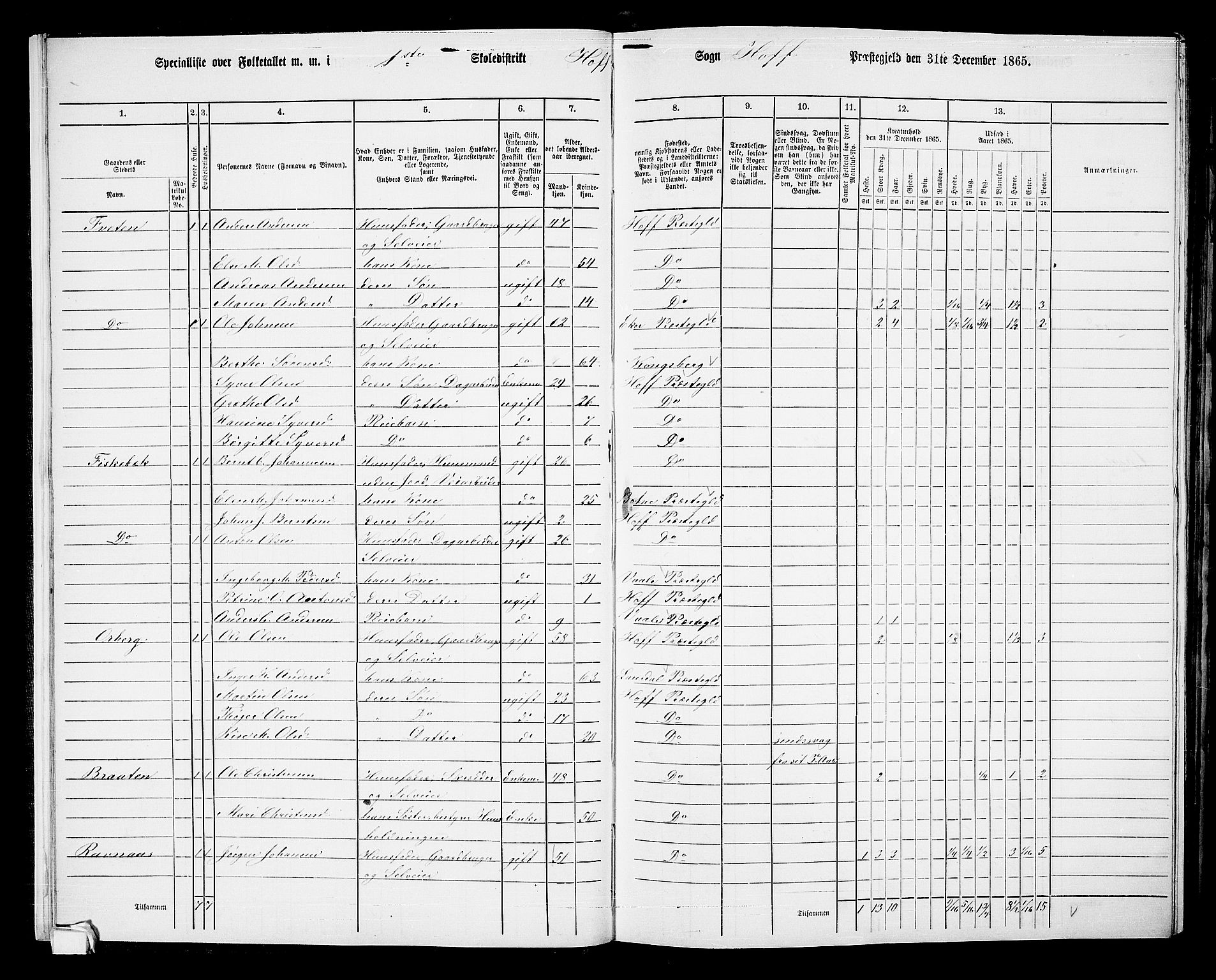 RA, 1865 census for Hof, 1865, p. 17