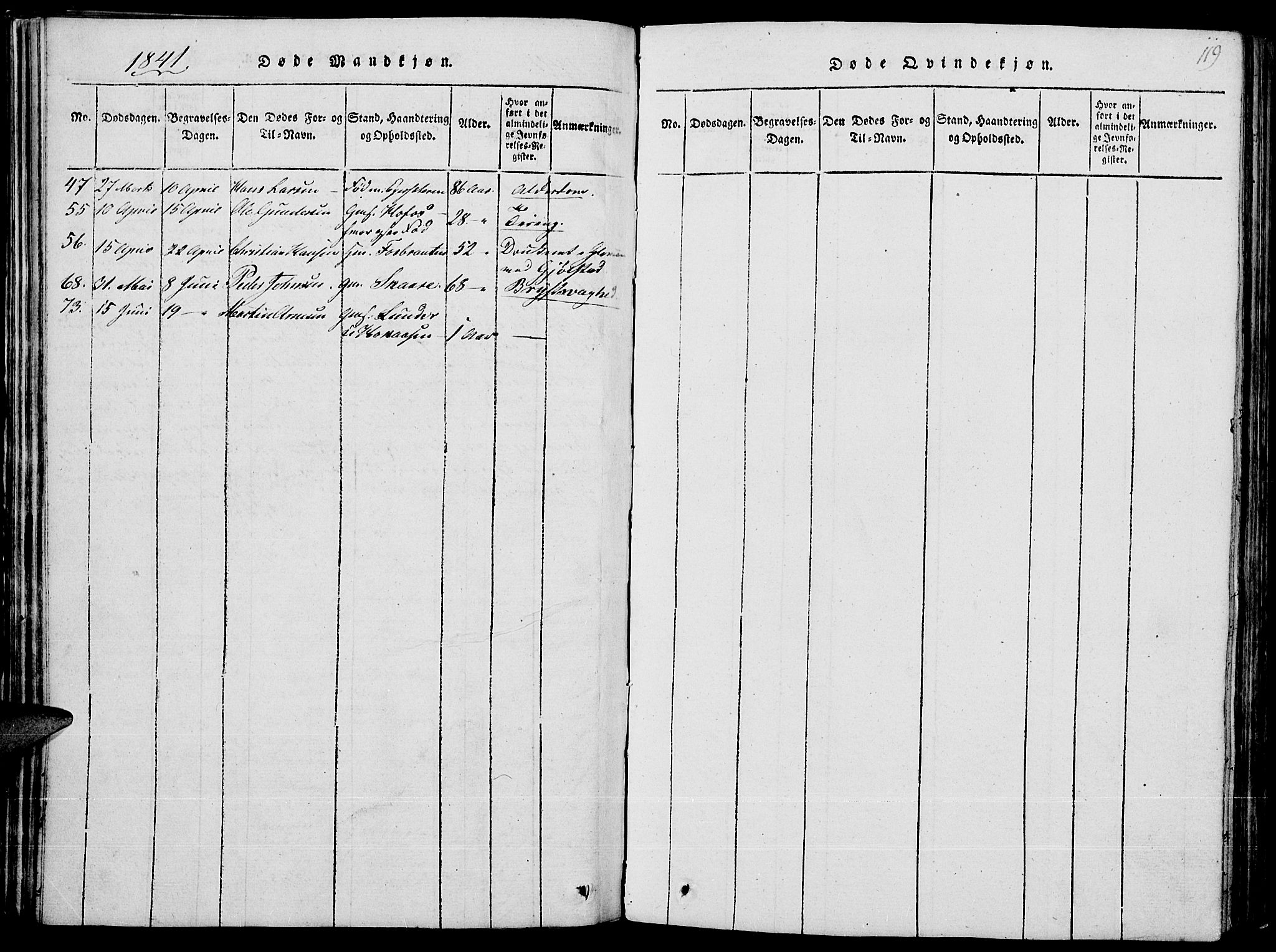 Grue prestekontor, AV/SAH-PREST-036/H/Ha/Hab/L0001: Parish register (copy) no. 1, 1814-1841, p. 119