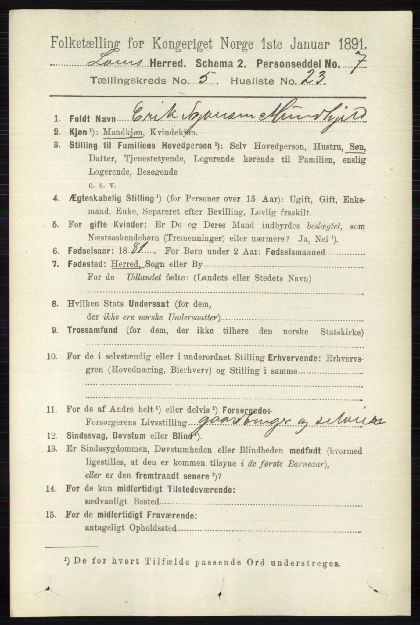 RA, 1891 census for 0514 Lom, 1891, p. 1978