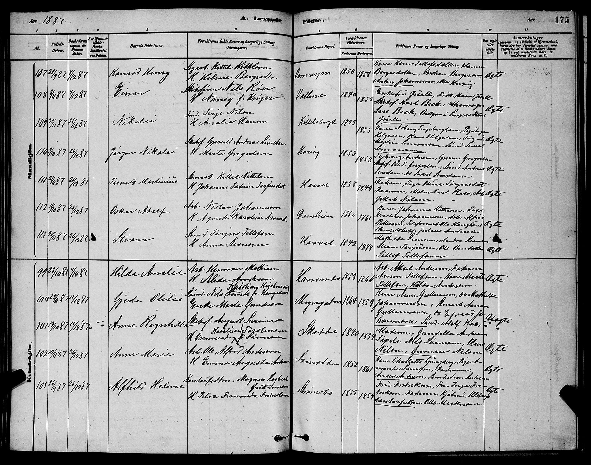 Barbu sokneprestkontor, SAK/1111-0003/F/Fb/L0001: Parish register (copy) no. B 1, 1878-1890, p. 175