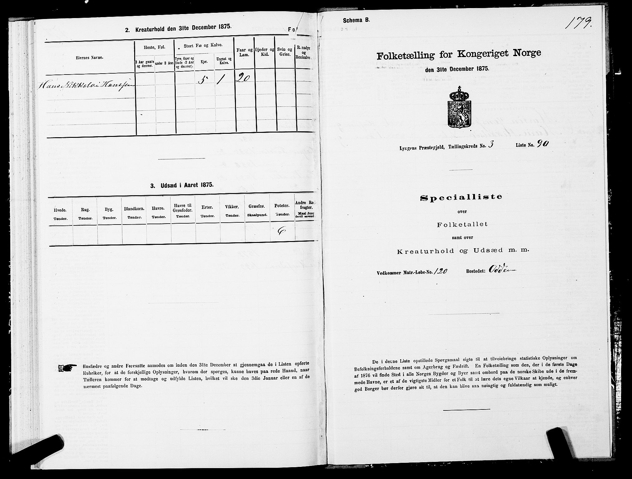 SATØ, 1875 census for 1938P Lyngen, 1875, p. 3179