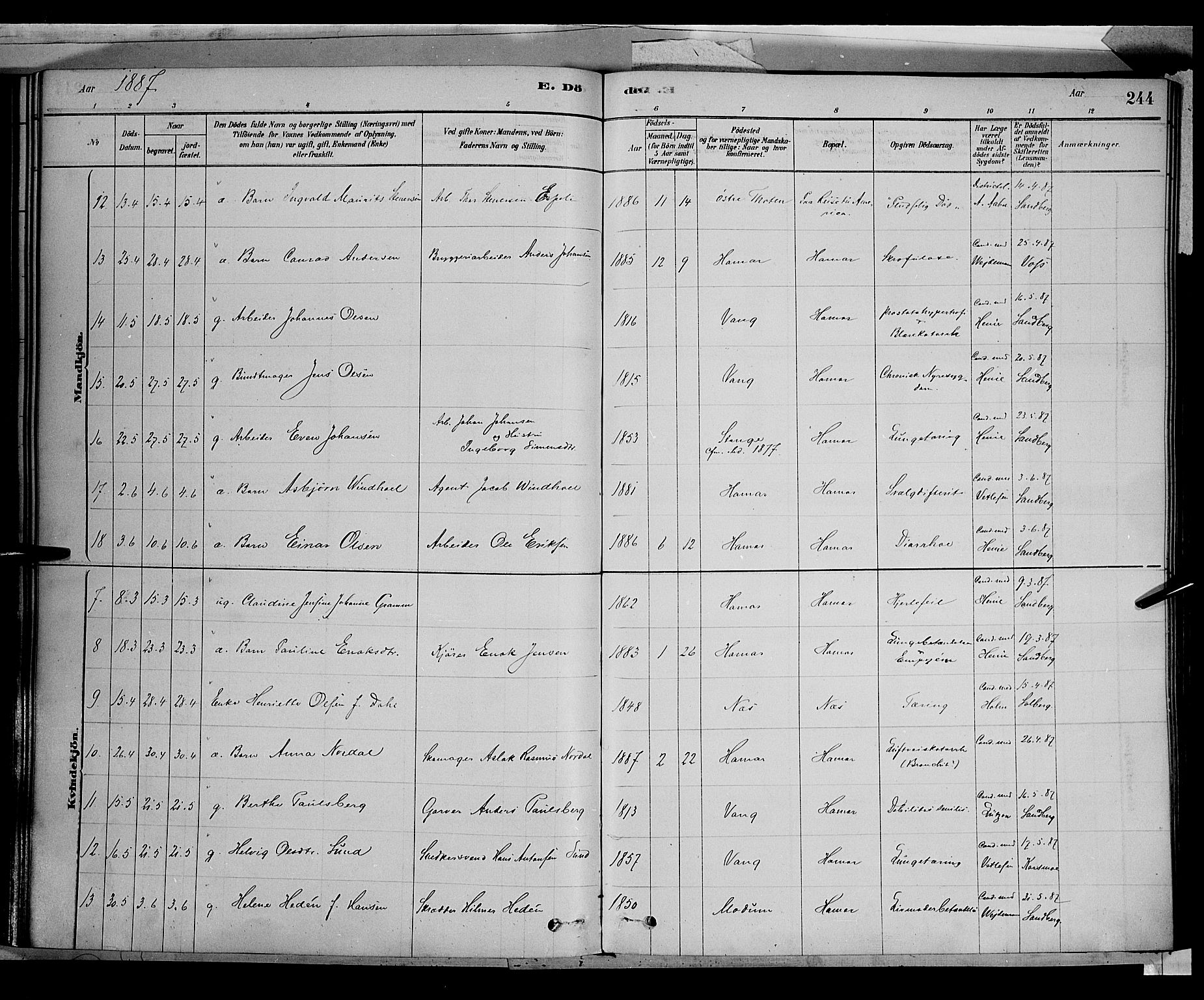 Vang prestekontor, Hedmark, AV/SAH-PREST-008/H/Ha/Haa/L0016: Parish register (official) no. 16, 1878-1889, p. 244