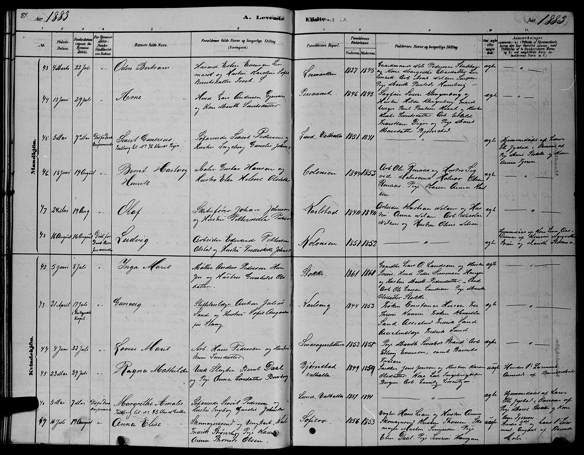 Ministerialprotokoller, klokkerbøker og fødselsregistre - Sør-Trøndelag, AV/SAT-A-1456/606/L0312: Parish register (copy) no. 606C08, 1878-1894, p. 87