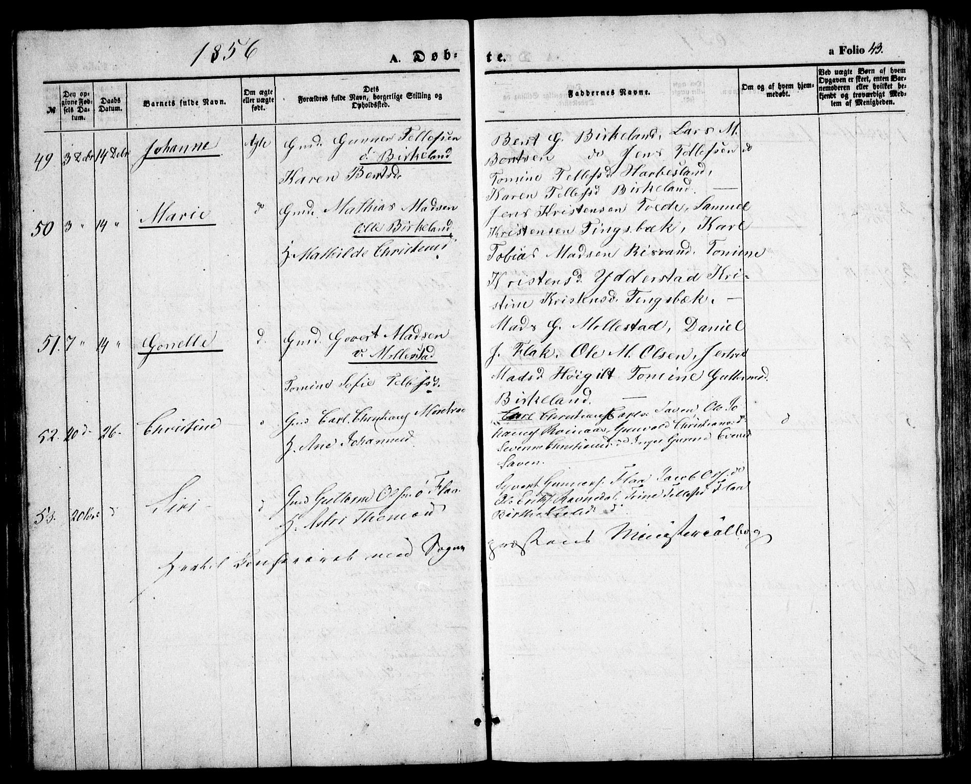 Birkenes sokneprestkontor, AV/SAK-1111-0004/F/Fb/L0002: Parish register (copy) no. B 2, 1849-1876, p. 43