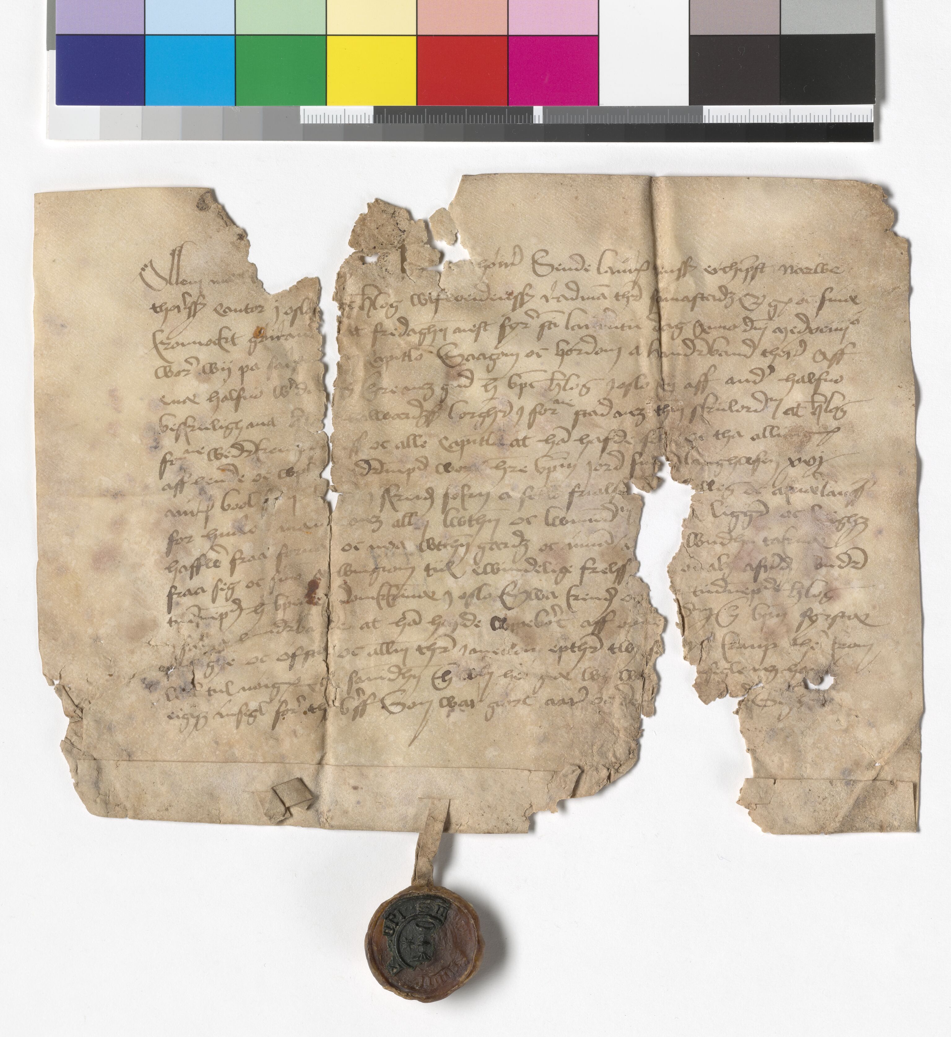 Riksarkivets diplomsamling, AV/RA-EA-5965/F05/L0233: NRA AM fasc. 96 nr. 6 - fasc. 97 nr. 1, 1494-1502, p. 2