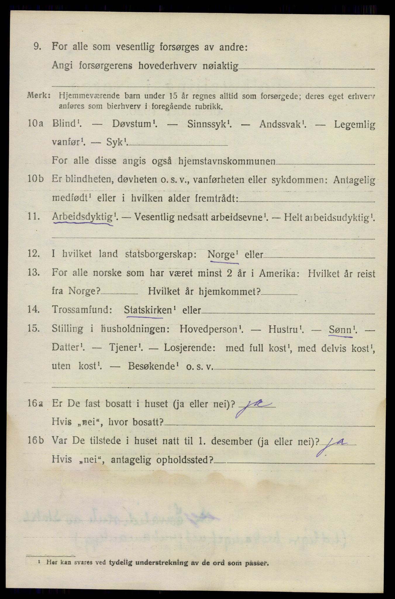 SAO, 1920 census for Nes, 1920, p. 7105
