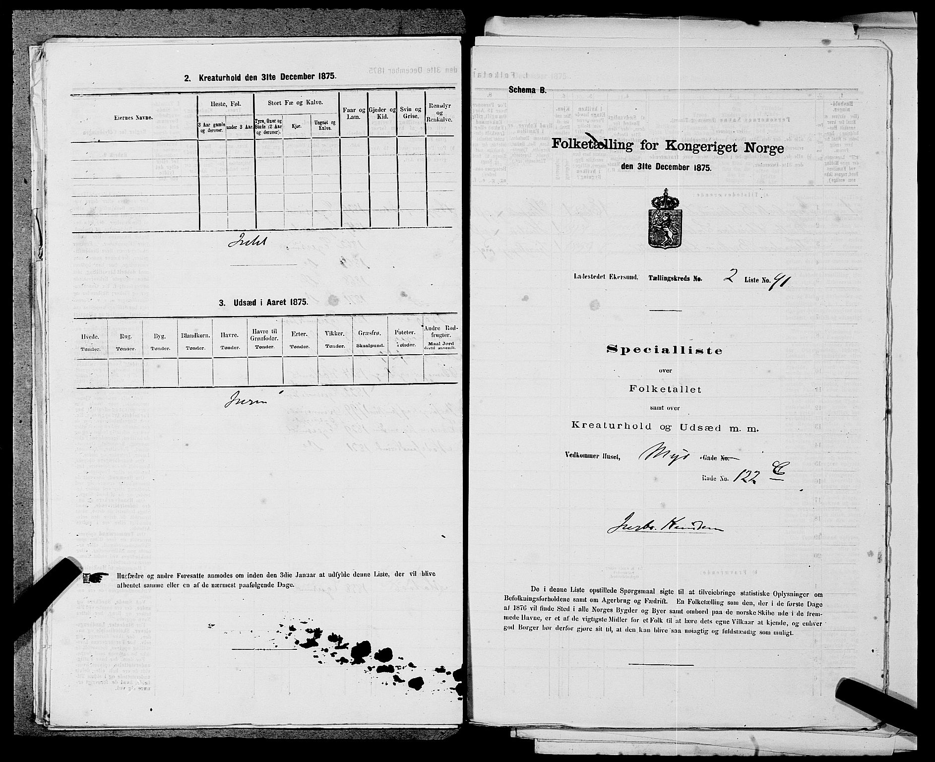 SAST, 1875 census for 1101B Eigersund parish, Egersund town, 1875, p. 189