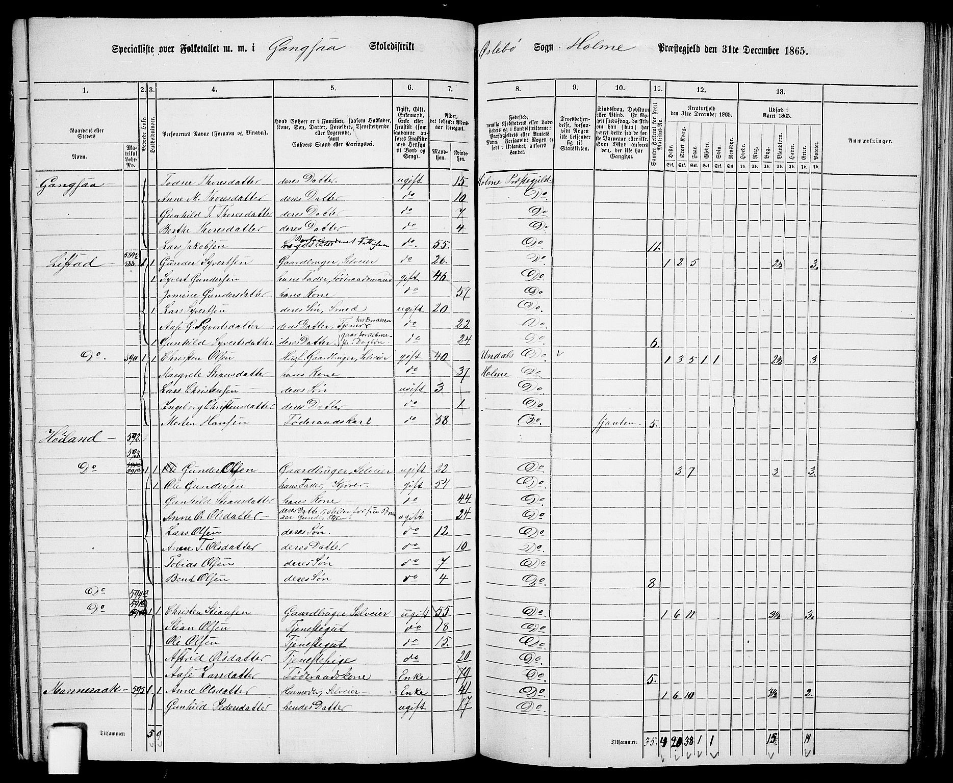 RA, 1865 census for Holum, 1865, p. 111