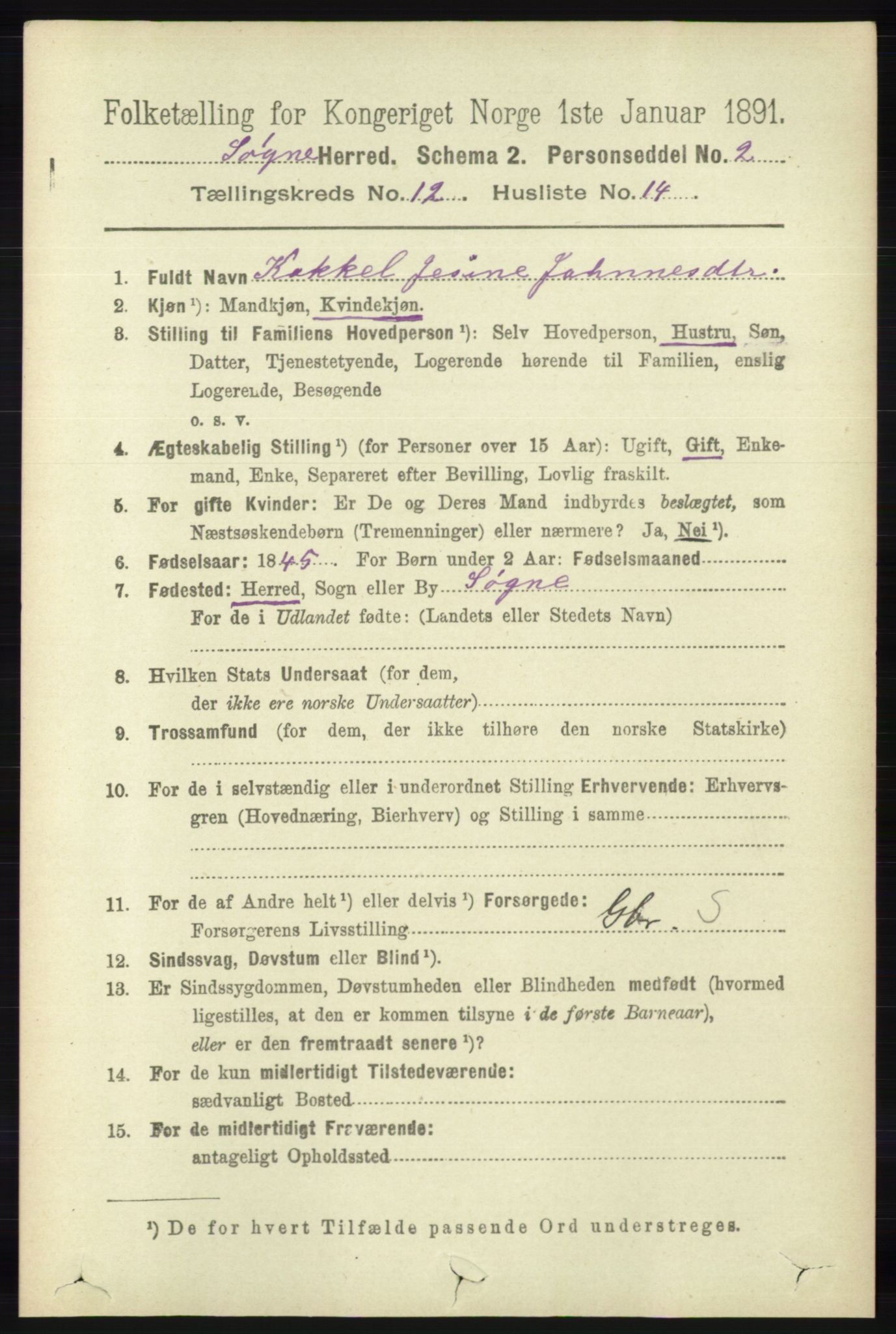 RA, 1891 census for 1018 Søgne, 1891, p. 3184