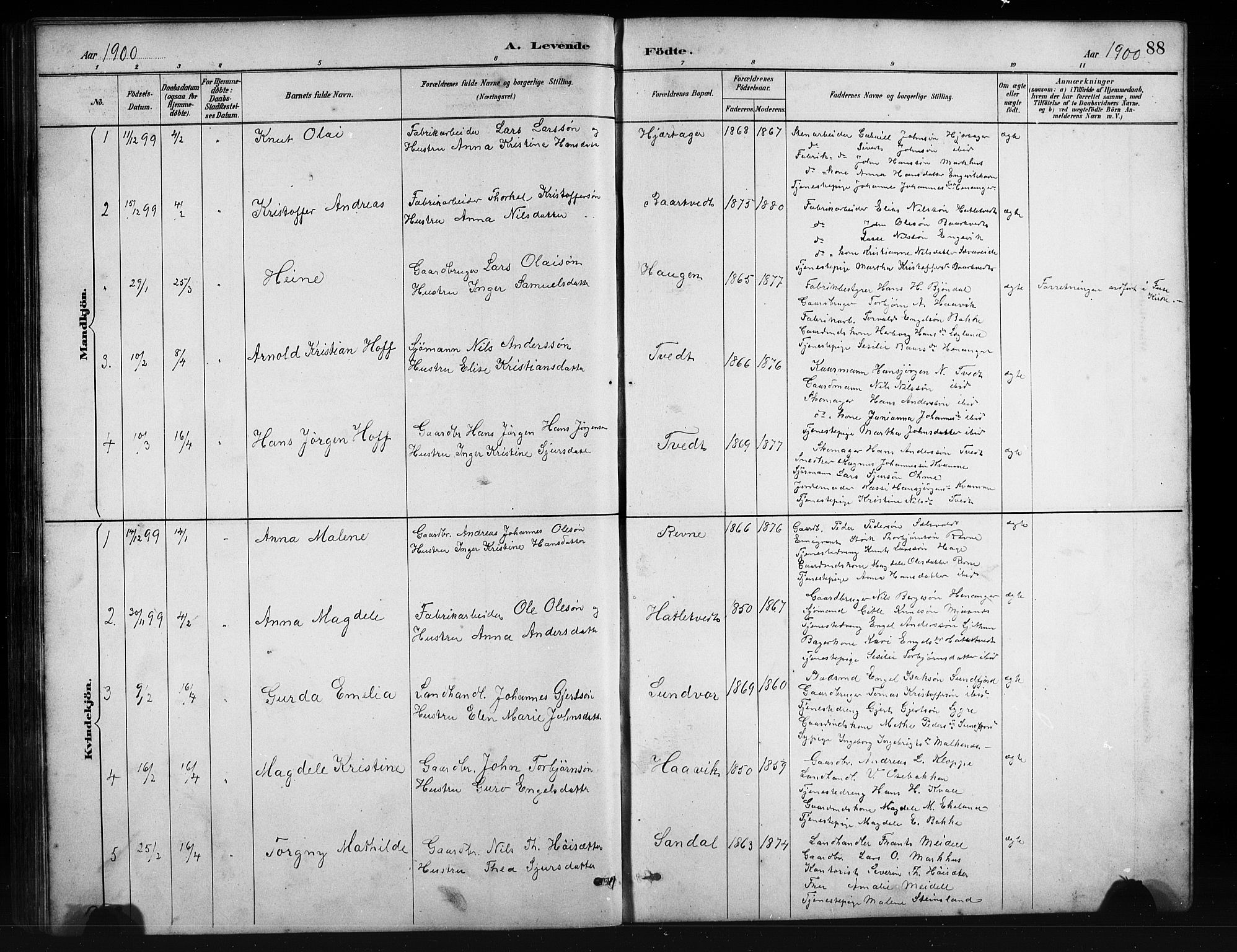 Fusa sokneprestembete, AV/SAB-A-75401/H/Hab: Parish register (copy) no. C 2, 1886-1926, p. 88