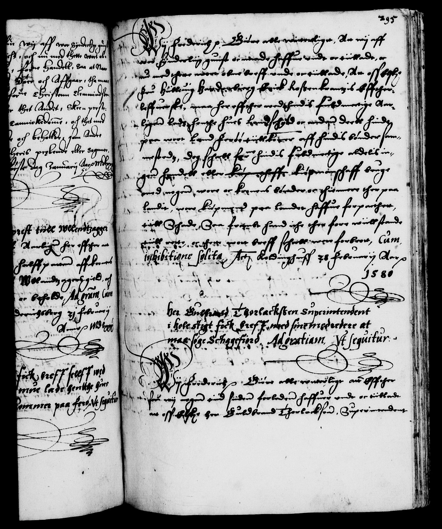 Danske Kanselli 1572-1799, RA/EA-3023/F/Fc/Fca/Fcaa/L0001: Norske registre (mikrofilm), 1572-1588, p. 295a