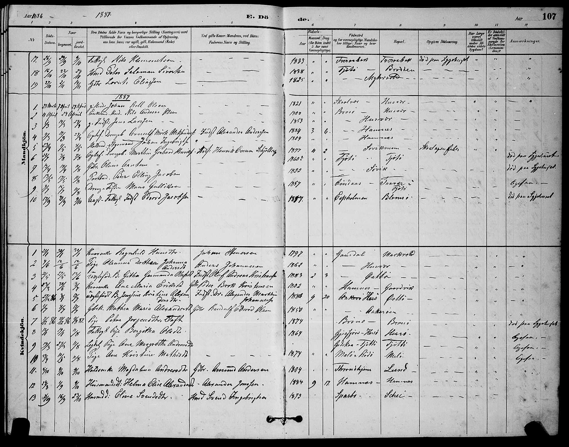 Ministerialprotokoller, klokkerbøker og fødselsregistre - Nordland, AV/SAT-A-1459/830/L0462: Parish register (copy) no. 830C04, 1882-1895, p. 107