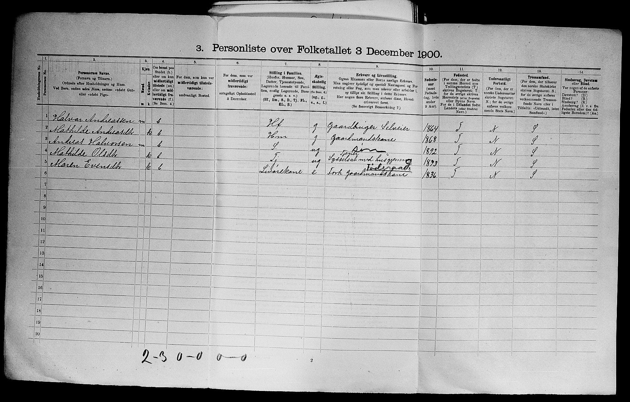 SAO, 1900 census for Høland, 1900