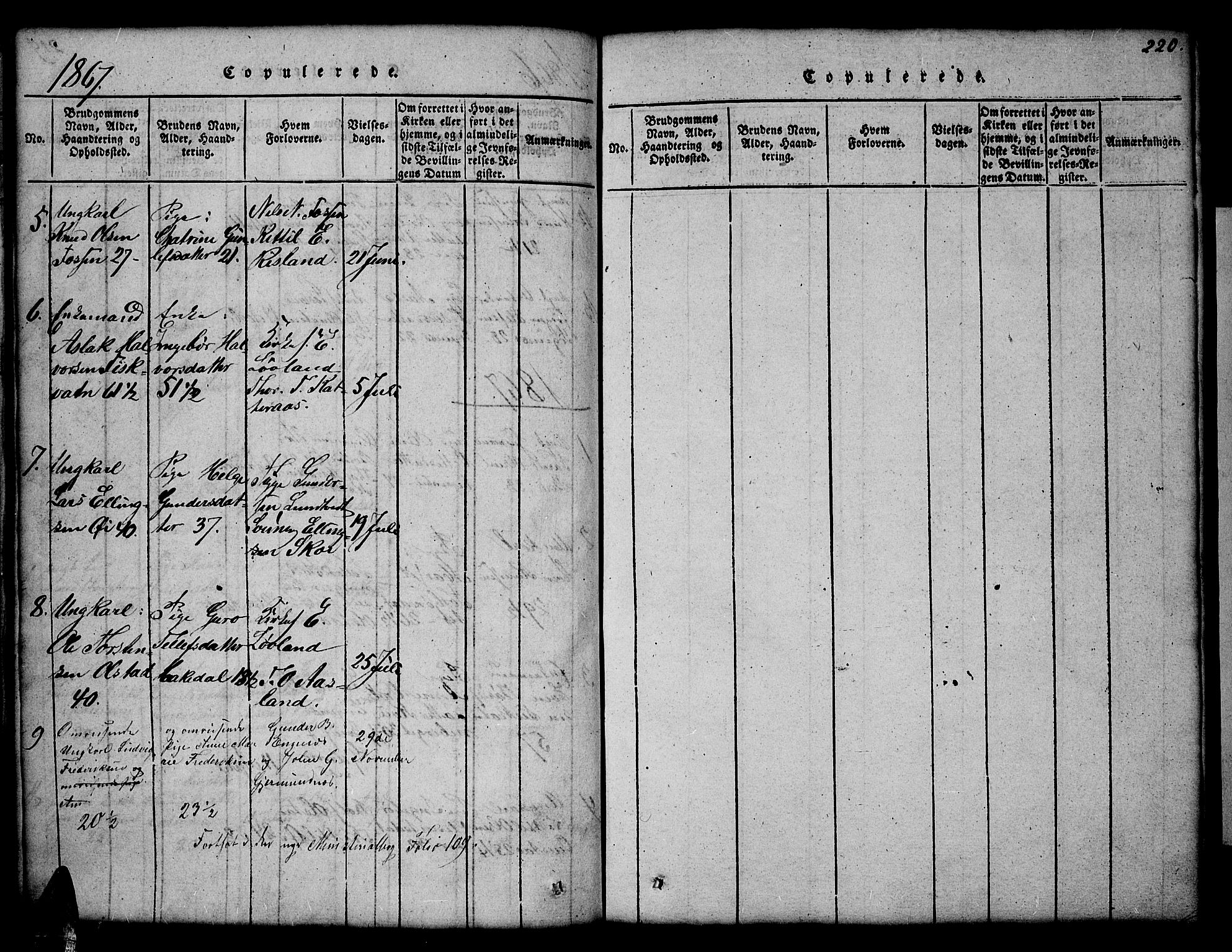 Åmli sokneprestkontor, AV/SAK-1111-0050/F/Fb/Fbc/L0001: Parish register (copy) no. B 1, 1816-1867, p. 220