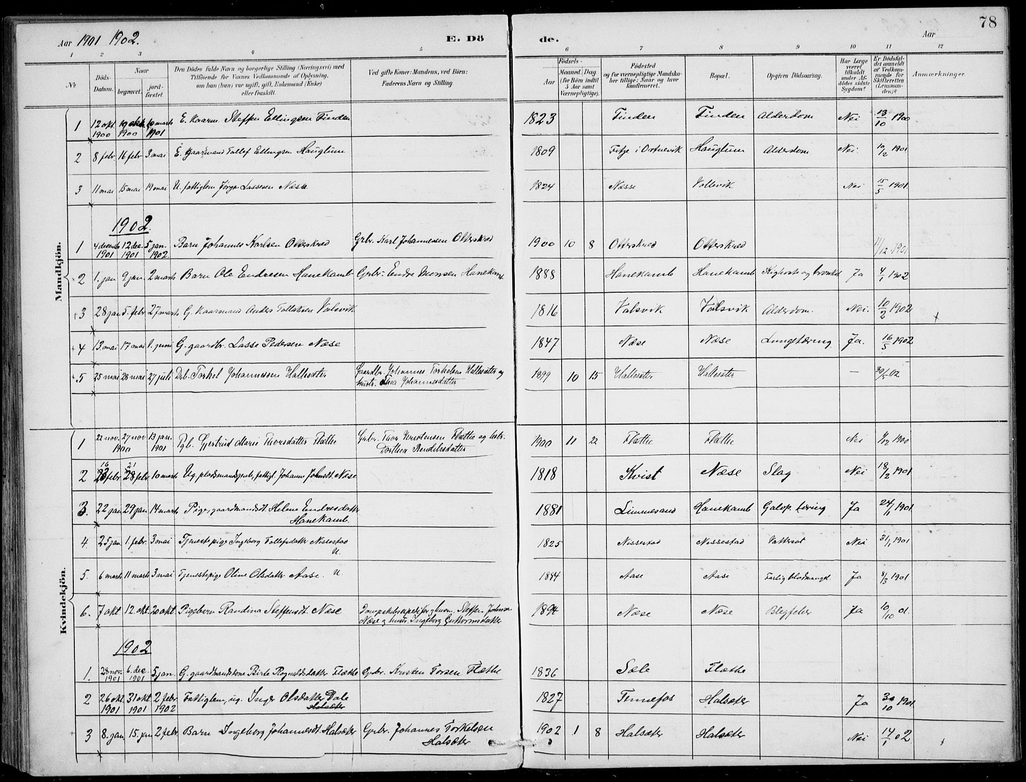 Vik sokneprestembete, AV/SAB-A-81501/H/Haa/Haac/L0002: Parish register (official) no. C  2, 1891-1910, p. 78