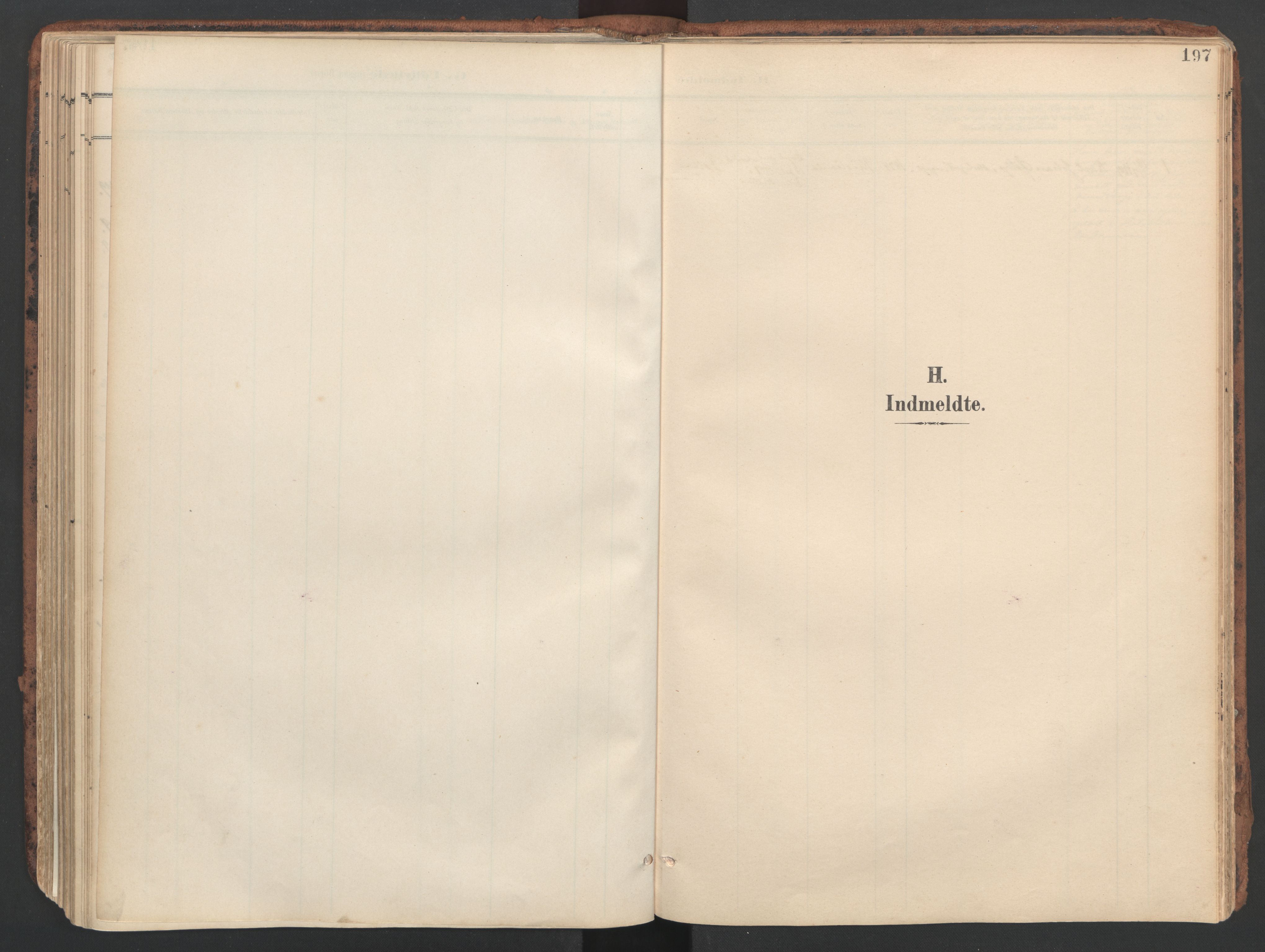 Ministerialprotokoller, klokkerbøker og fødselsregistre - Sør-Trøndelag, SAT/A-1456/634/L0537: Parish register (official) no. 634A13, 1896-1922, p. 197