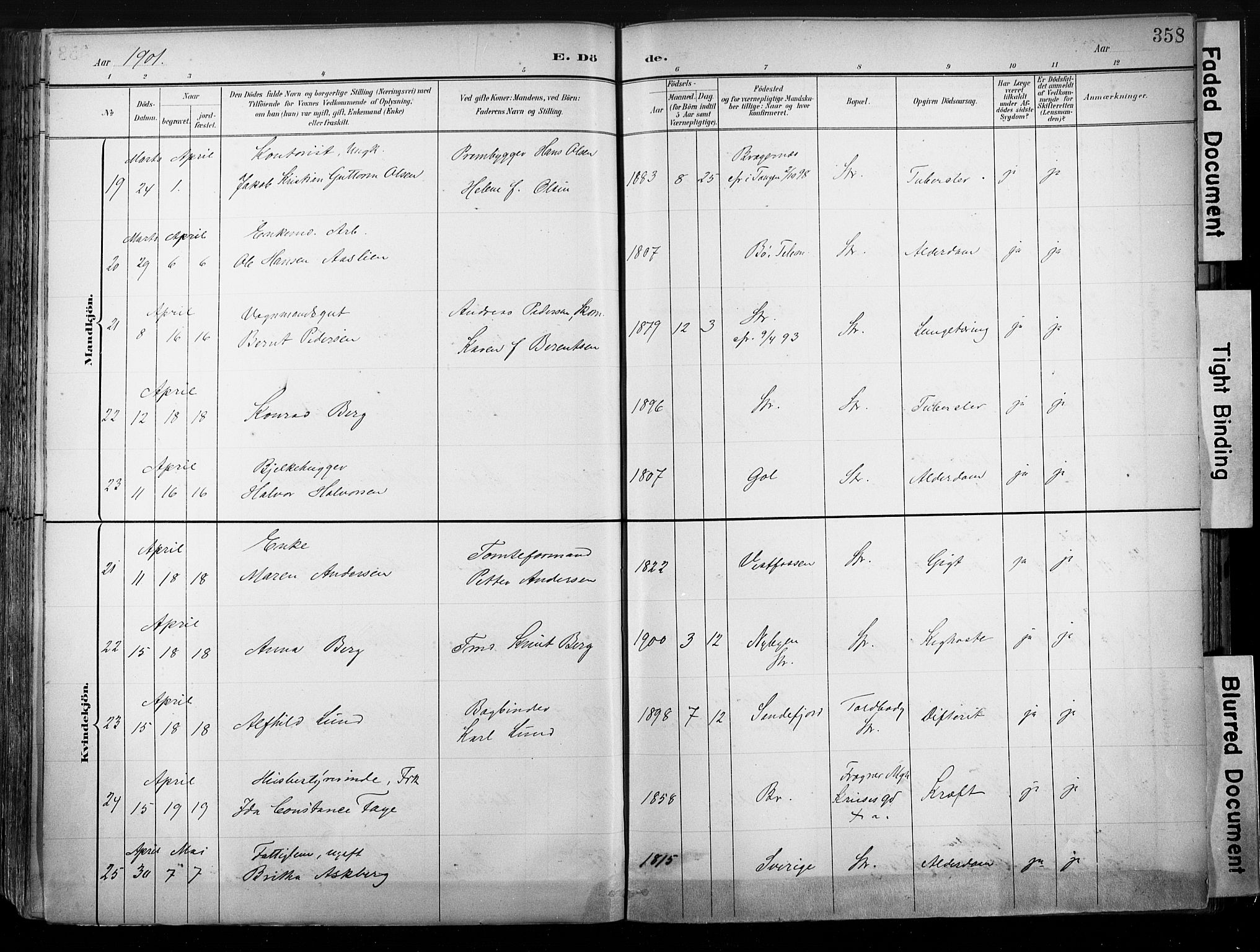 Strømsø kirkebøker, SAKO/A-246/G/Ga/L0003: Parish register (copy) no. 3, 1894-1904, p. 358