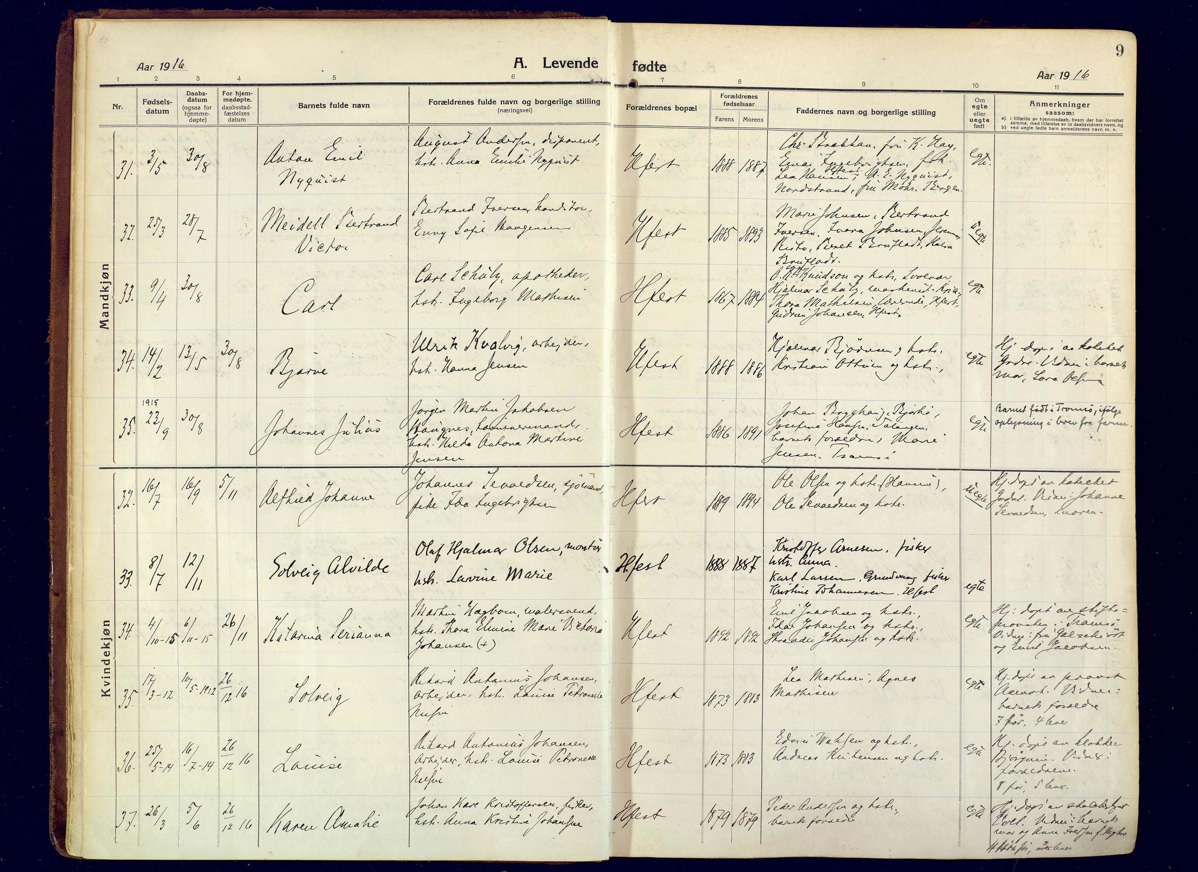 Hammerfest sokneprestkontor, AV/SATØ-S-1347/H/Ha/L0015.kirke: Parish register (official) no. 15, 1916-1923, p. 9