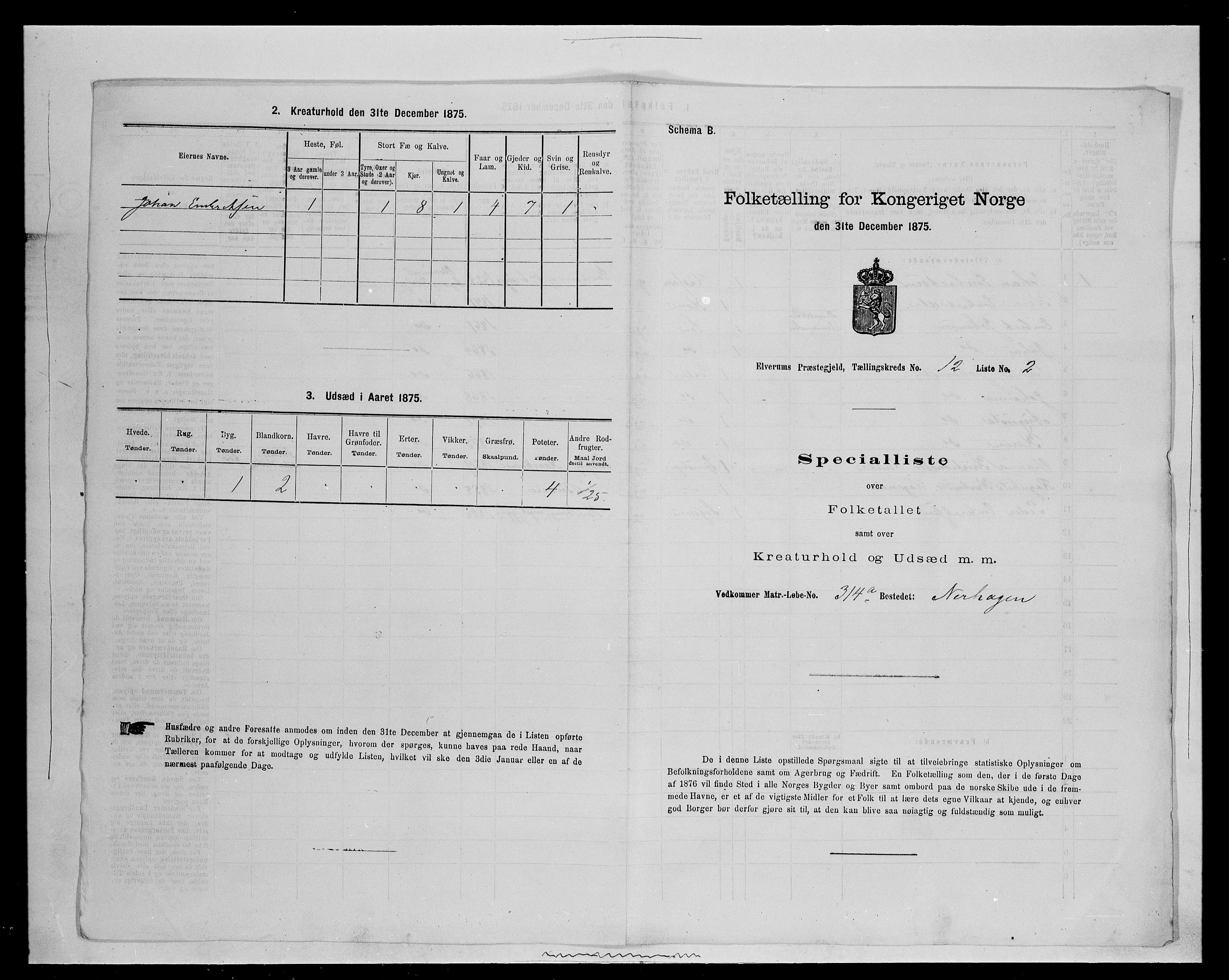 SAH, 1875 census for 0427P Elverum, 1875, p. 2295