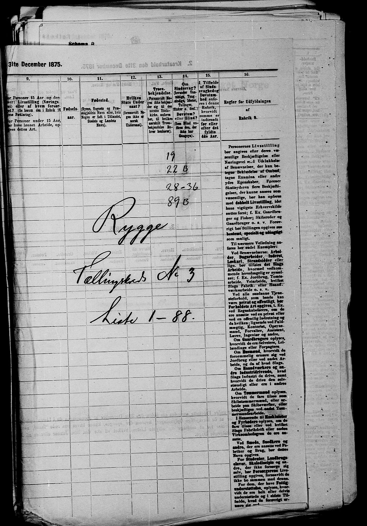 RA, 1875 census for 0136P Rygge, 1875, p. 463