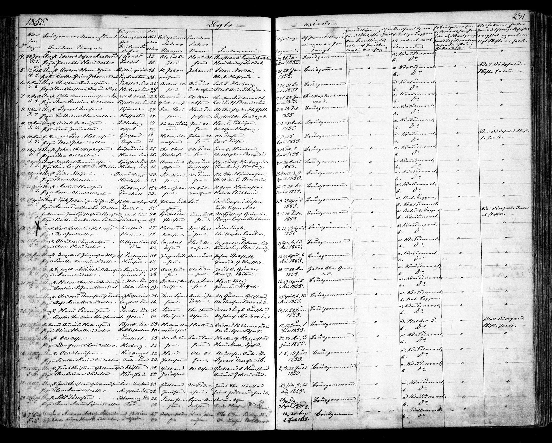 Nes prestekontor Kirkebøker, AV/SAO-A-10410/F/Fa/L0007: Parish register (official) no. I 7, 1846-1858, p. 271