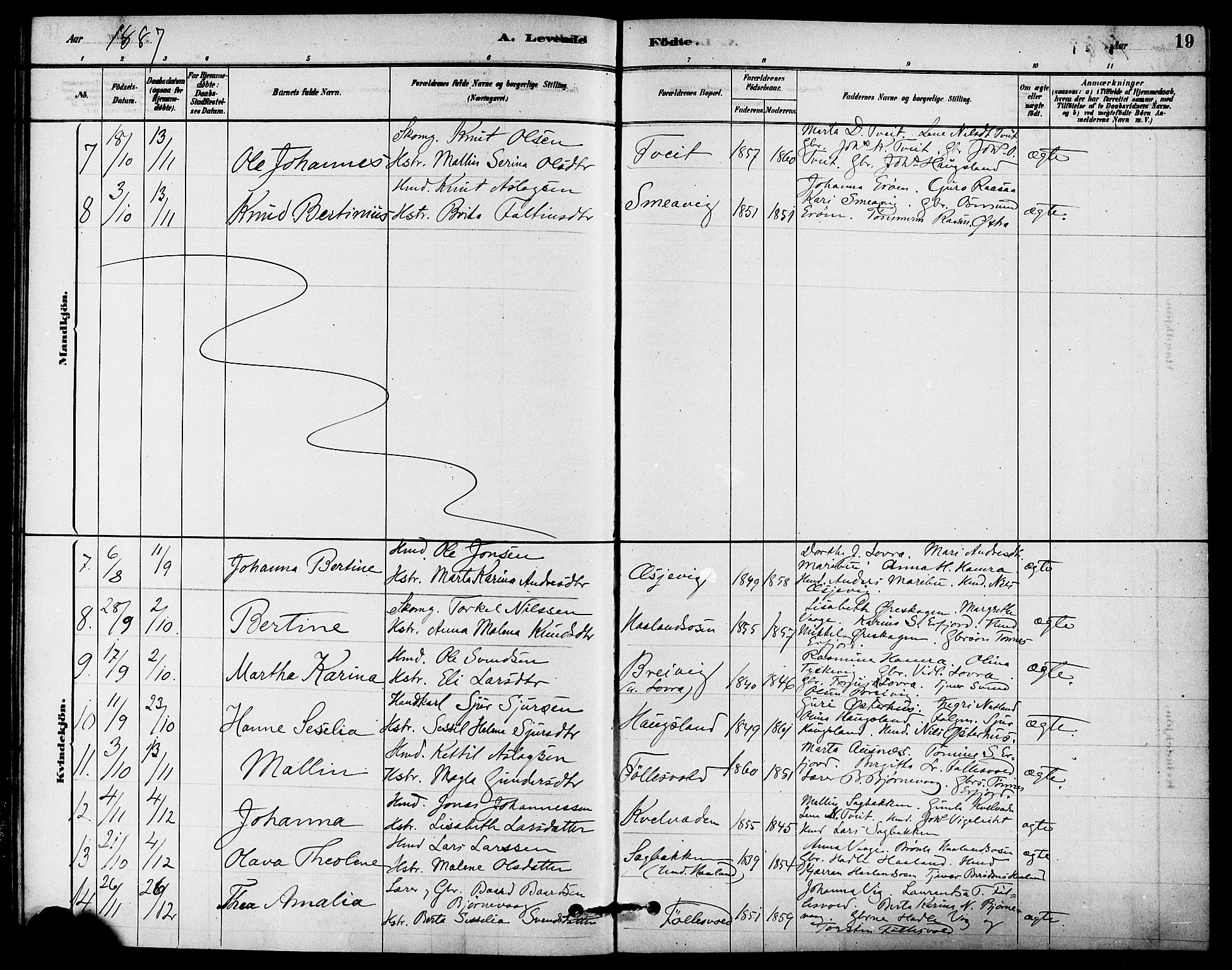 Jelsa sokneprestkontor, AV/SAST-A-101842/01/IV: Parish register (official) no. A 9, 1878-1898, p. 19