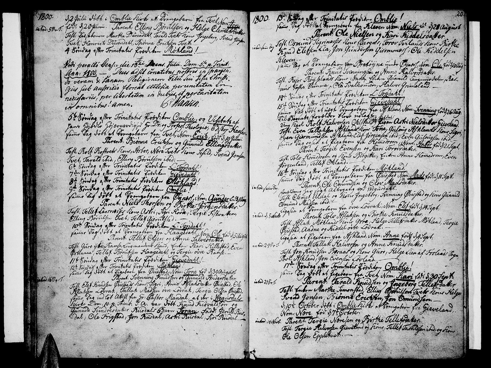 Åmli sokneprestkontor, AV/SAK-1111-0050/F/Fa/Fac/L0005: Parish register (official) no. A 5, 1796-1816, p. 20