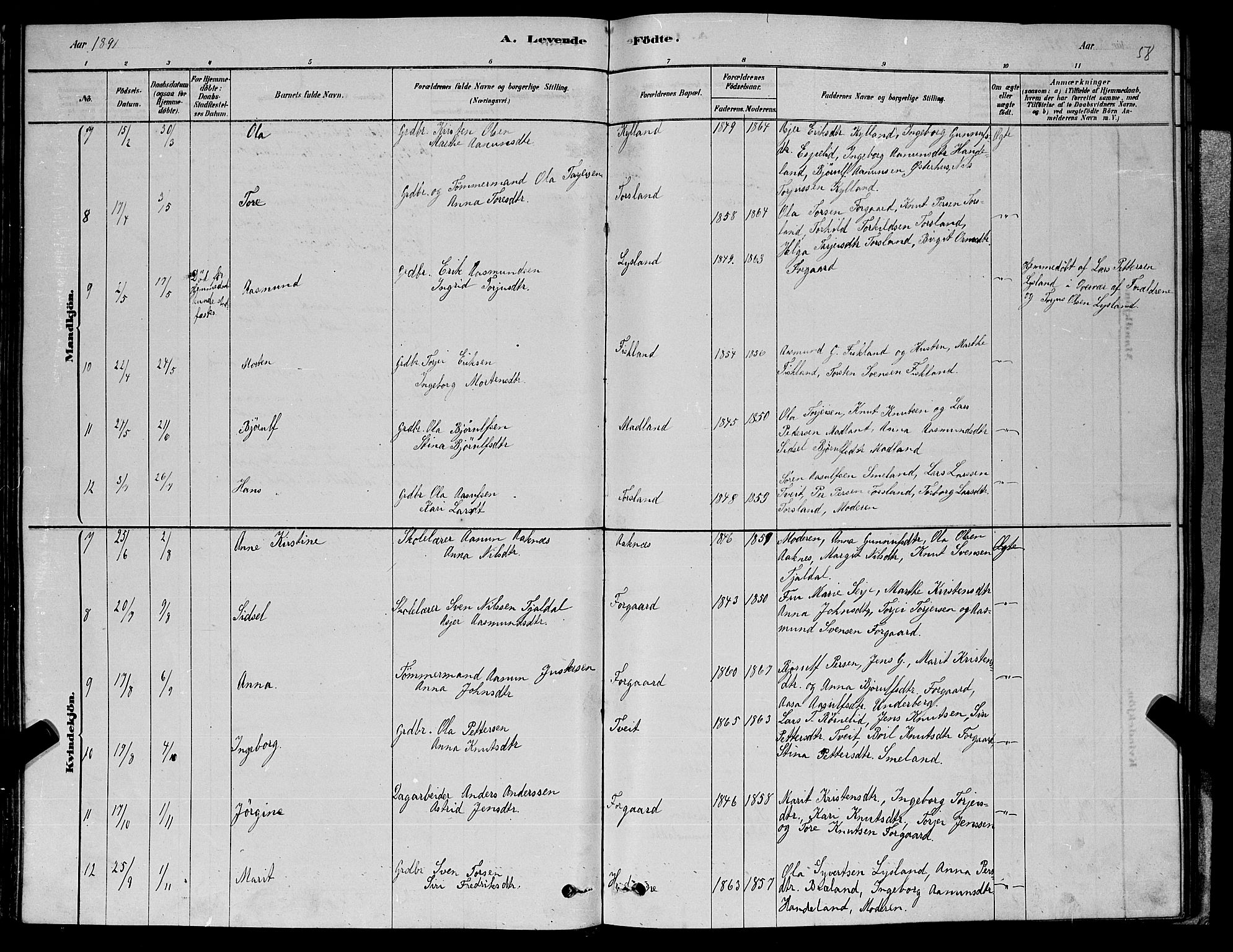 Åseral sokneprestkontor, SAK/1111-0051/F/Fb/L0002: Parish register (copy) no. B 2, 1878-1899, p. 58