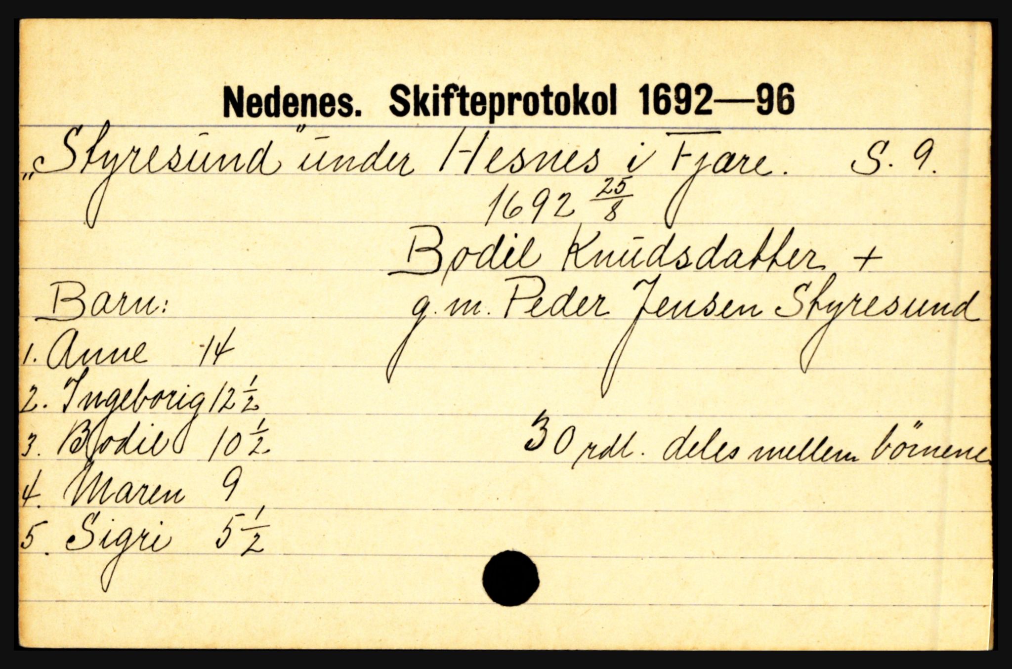 Nedenes sorenskriveri før 1824, AV/SAK-1221-0007/H, p. 29061