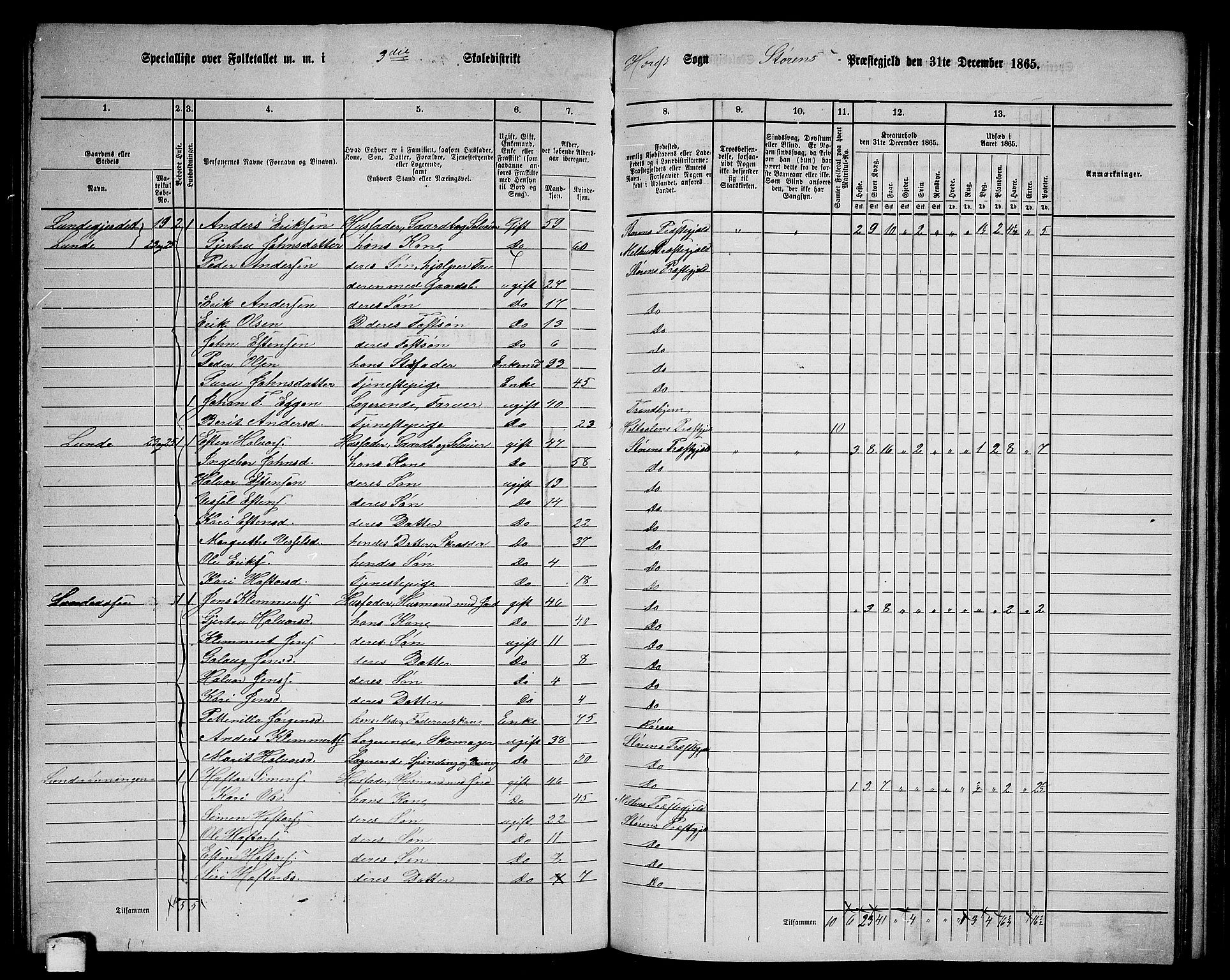 RA, 1865 census for Støren, 1865, p. 151