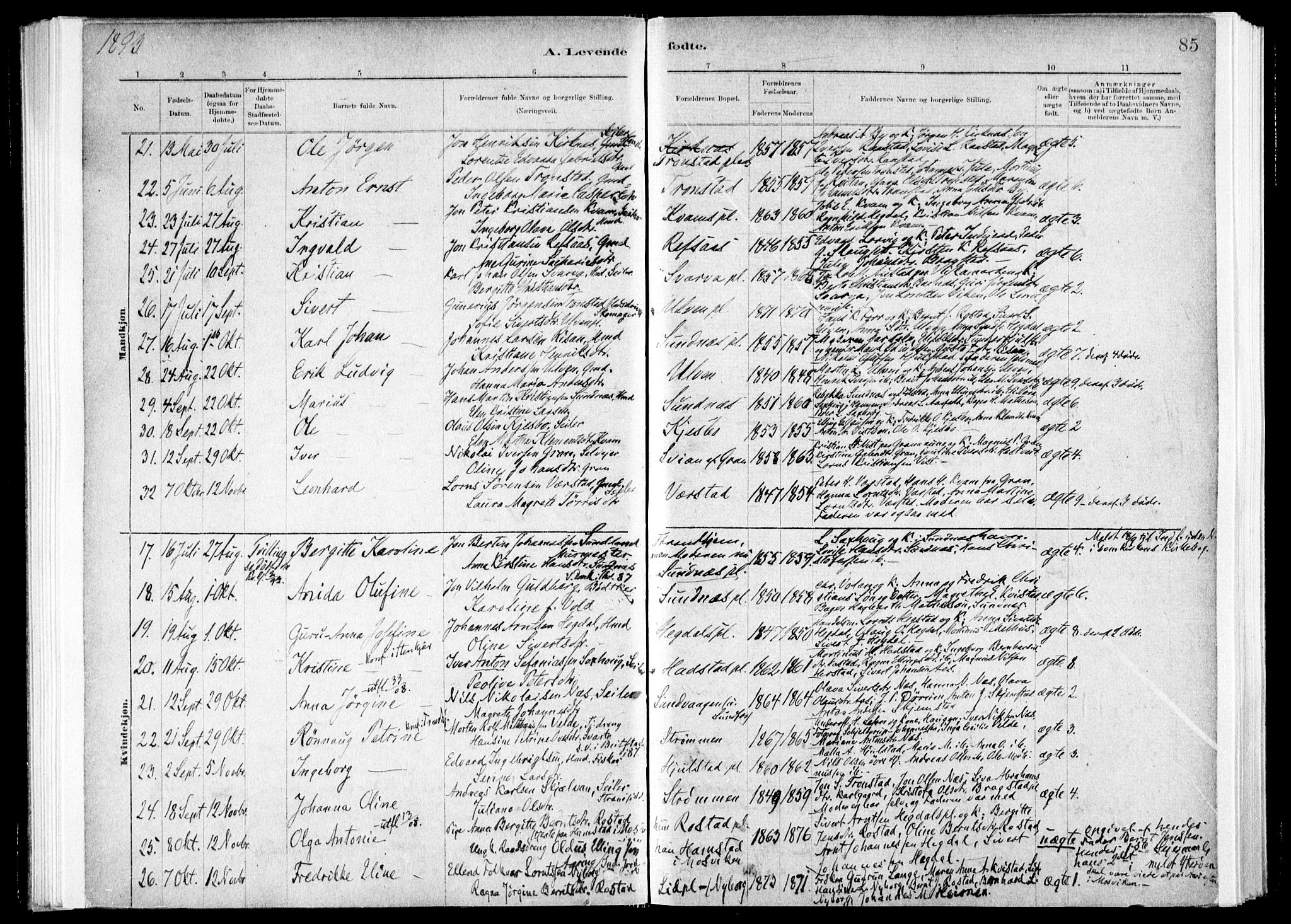 Ministerialprotokoller, klokkerbøker og fødselsregistre - Nord-Trøndelag, AV/SAT-A-1458/730/L0285: Parish register (official) no. 730A10, 1879-1914, p. 85