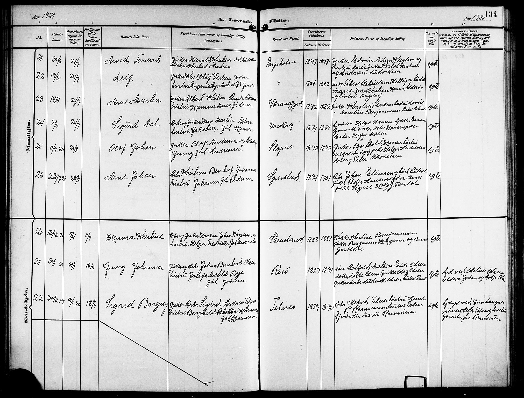 Ministerialprotokoller, klokkerbøker og fødselsregistre - Nordland, AV/SAT-A-1459/841/L0621: Parish register (copy) no. 841C05, 1897-1923, p. 134