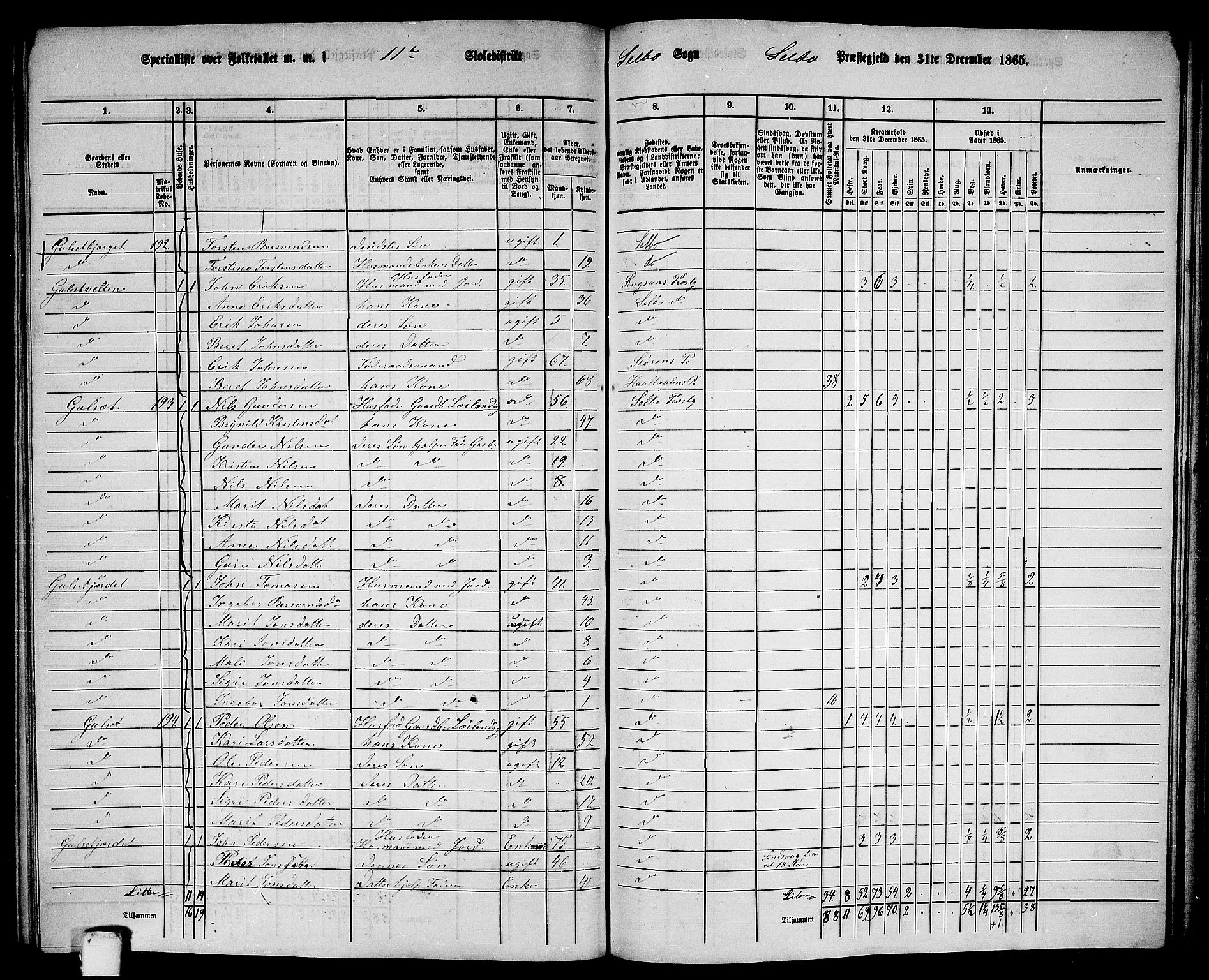 RA, 1865 census for Selbu, 1865, p. 204