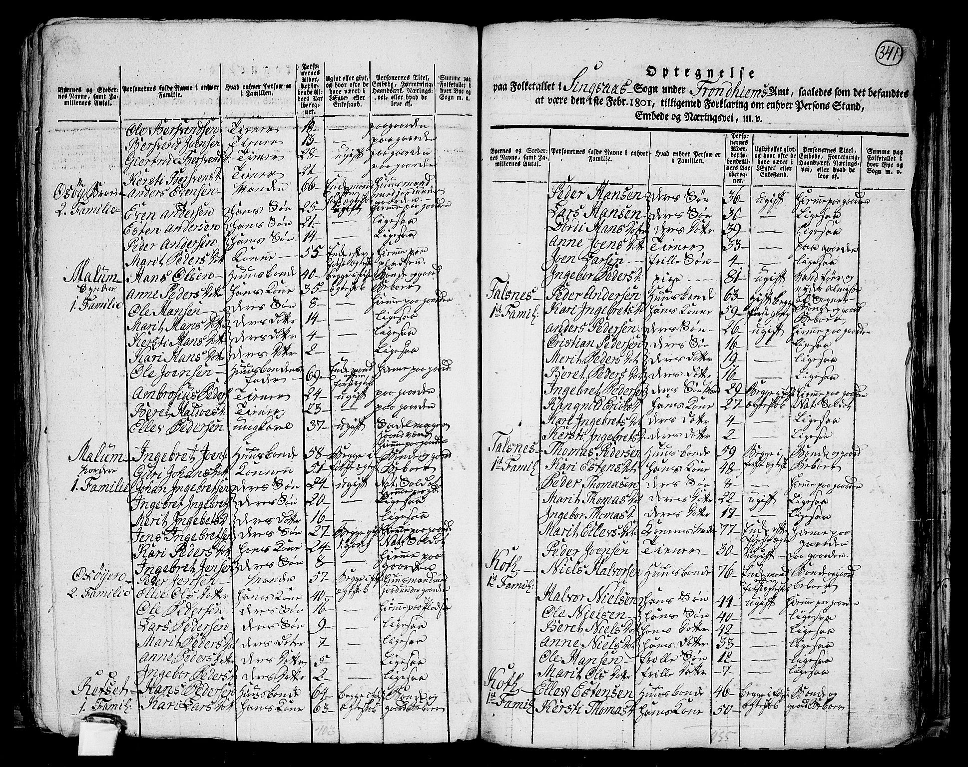 RA, 1801 census for 1645P Haltdalen, 1801, p. 340b-341a