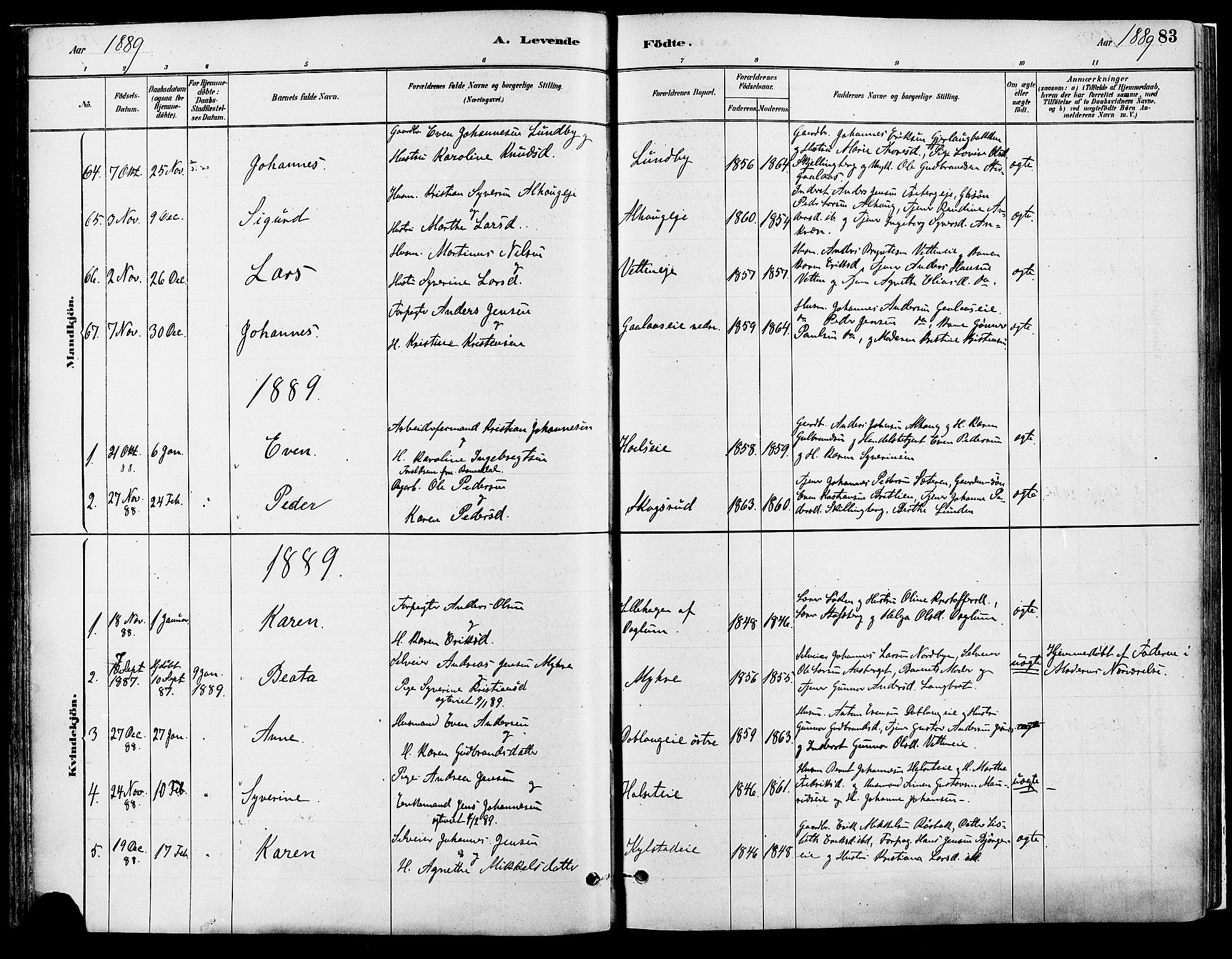Vang prestekontor, Hedmark, SAH/PREST-008/H/Ha/Haa/L0018A: Parish register (official) no. 18A, 1880-1906, p. 83