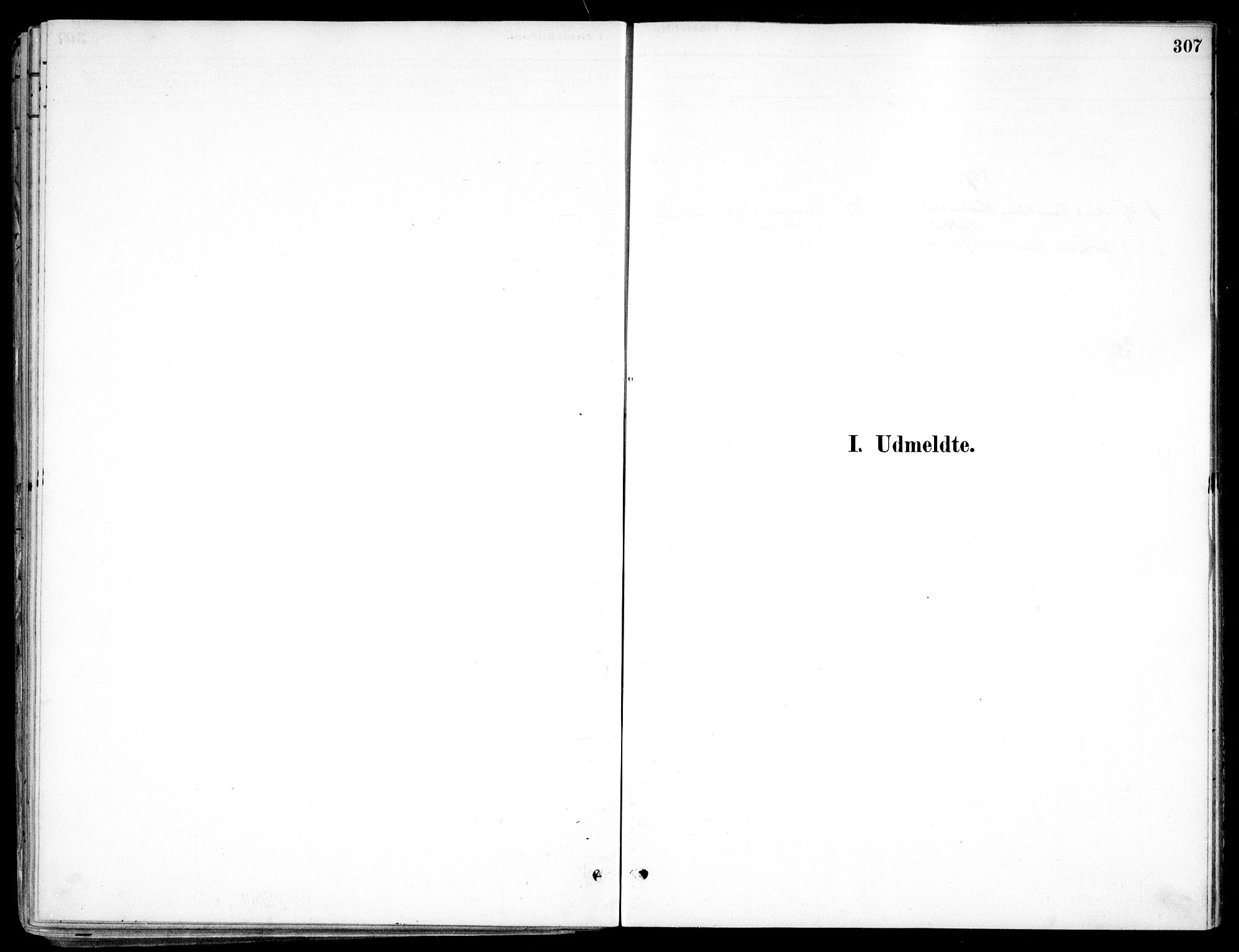 Nes prestekontor Kirkebøker, SAO/A-10410/F/Fc/L0002: Parish register (official) no. IIi 2, 1882-1916, p. 307