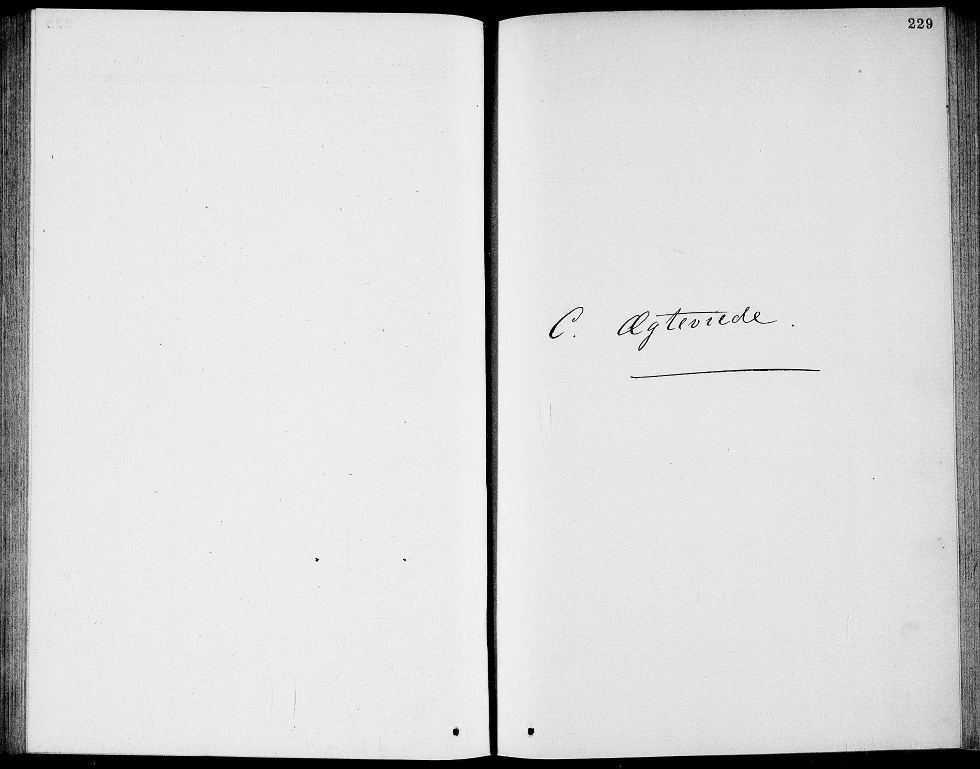 Bamble kirkebøker, SAKO/A-253/G/Ga/L0007: Parish register (copy) no. I 7, 1876-1877, p. 229