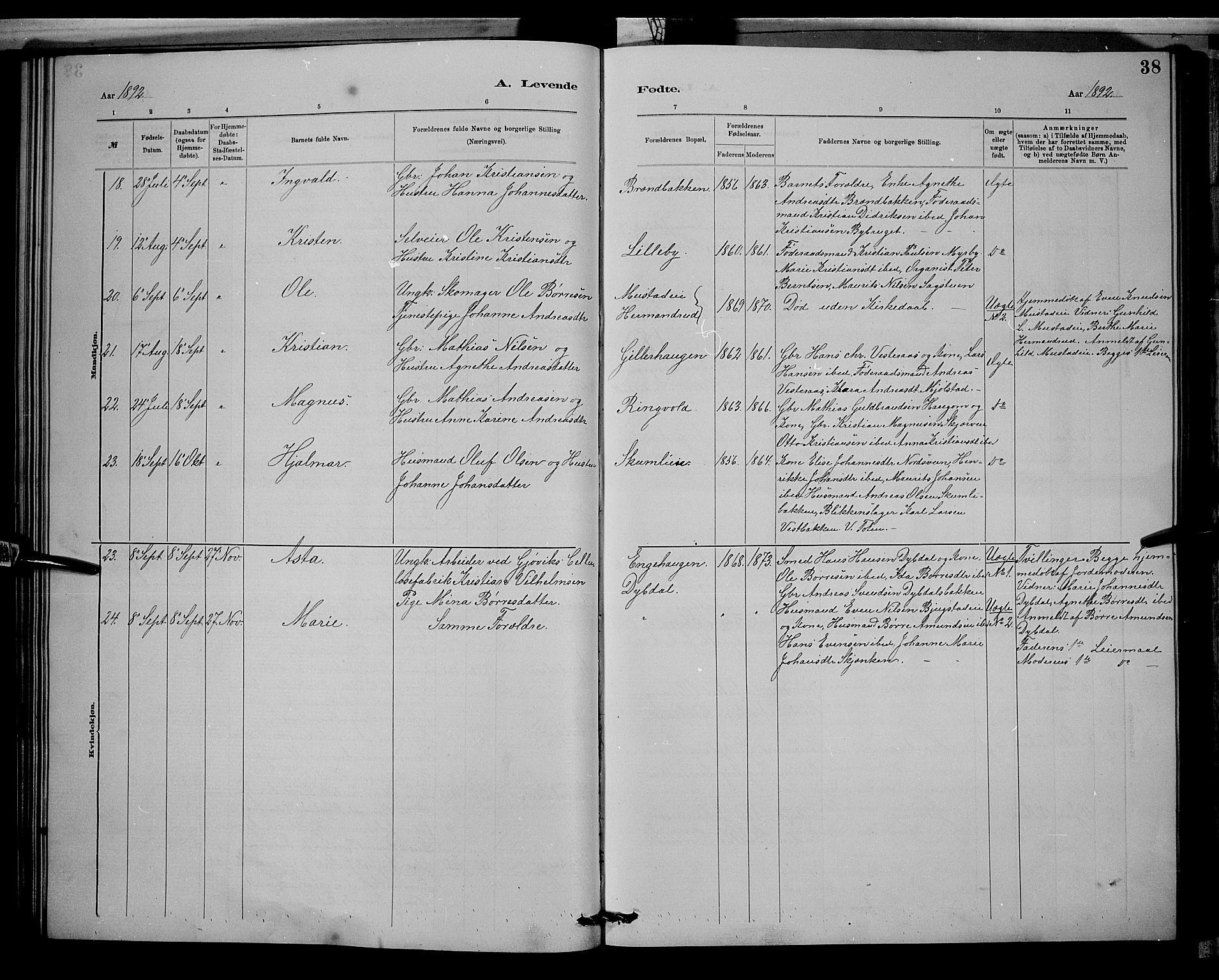 Vardal prestekontor, SAH/PREST-100/H/Ha/Hab/L0008: Parish register (copy) no. 8, 1881-1898, p. 38