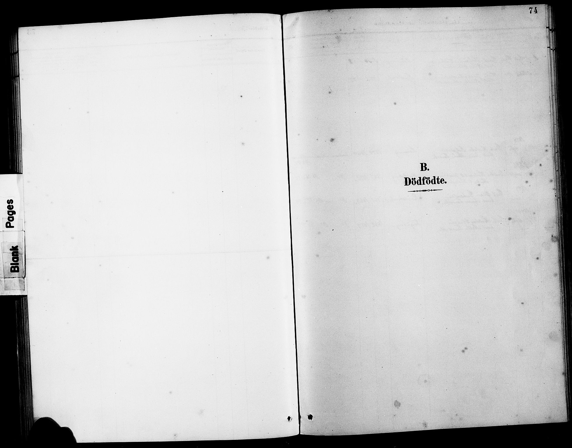 Kvinnherad sokneprestembete, SAB/A-76401/H/Hab: Parish register (copy) no. E 1, 1885-1921, p. 74