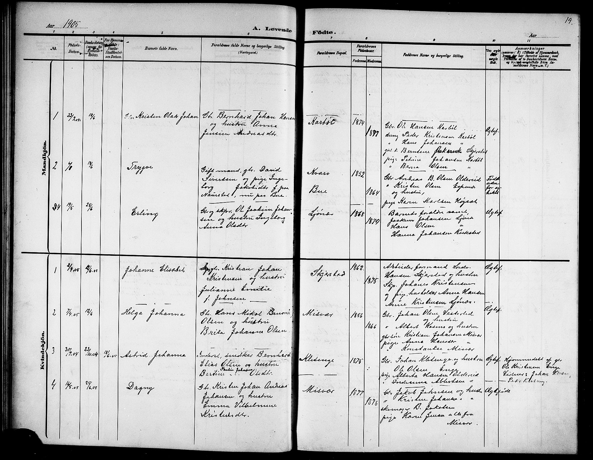 Ministerialprotokoller, klokkerbøker og fødselsregistre - Nordland, AV/SAT-A-1459/852/L0756: Parish register (copy) no. 852C07, 1902-1916, p. 19