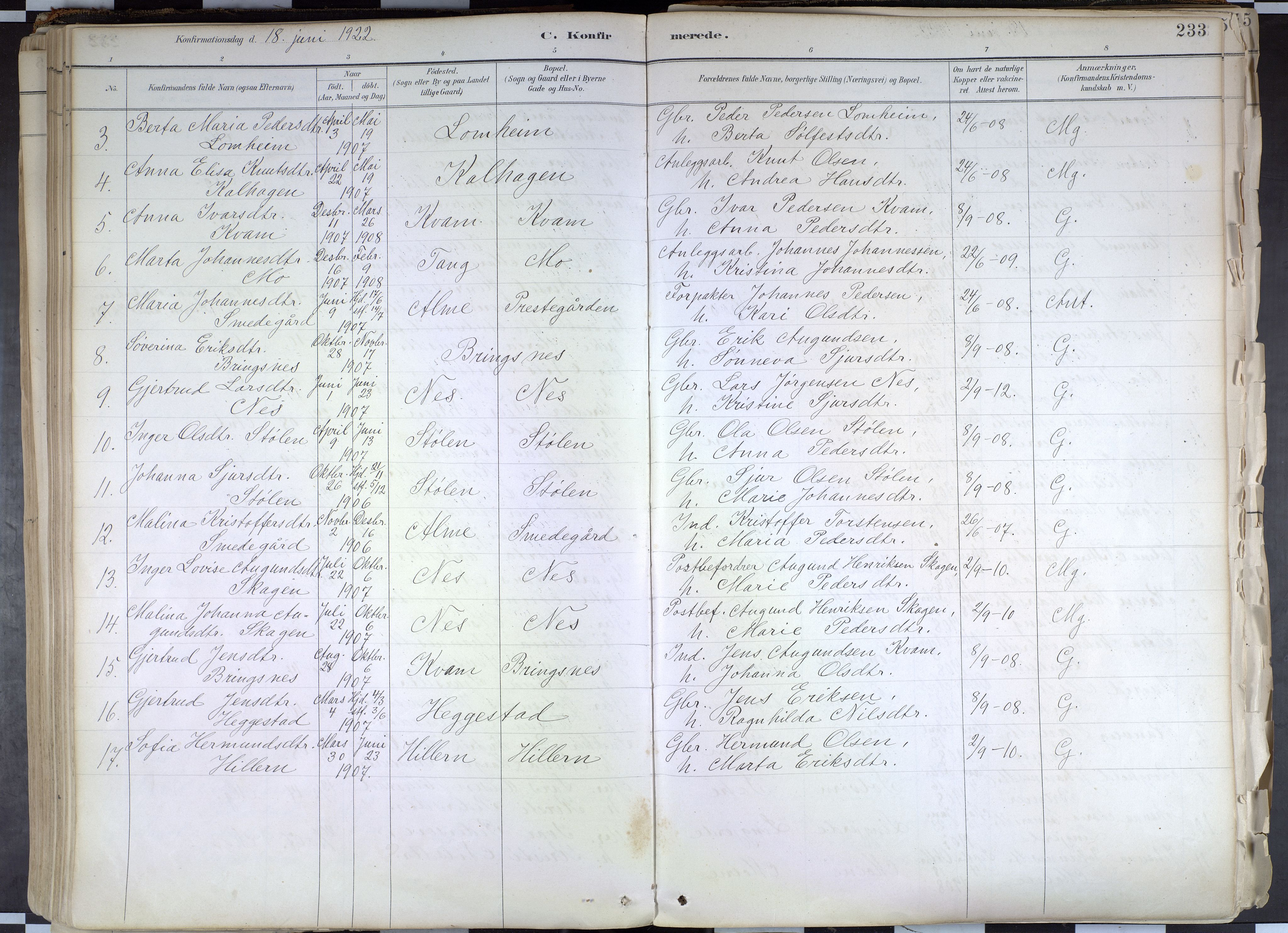 Hafslo sokneprestembete, AV/SAB-A-80301/H/Haa/Haab/L0001: Parish register (official) no. B 1, 1886-1945, p. 233