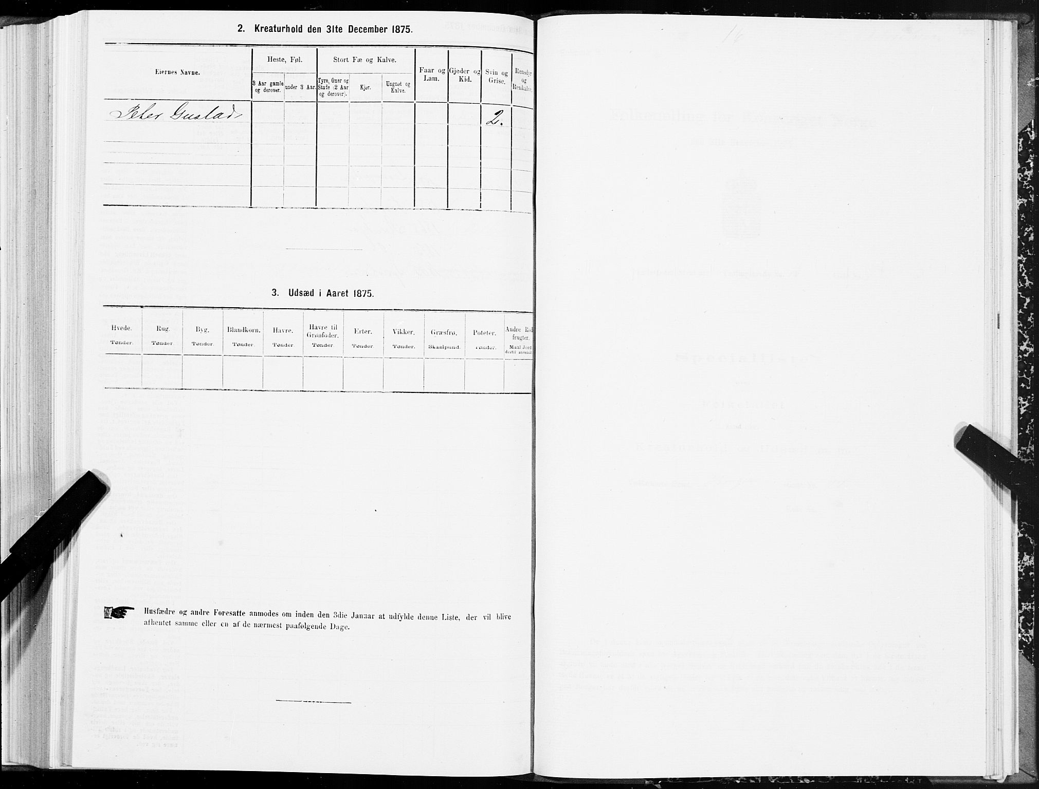 SAT, 1875 census for 1702B Steinkjer/Steinkjer, 1875